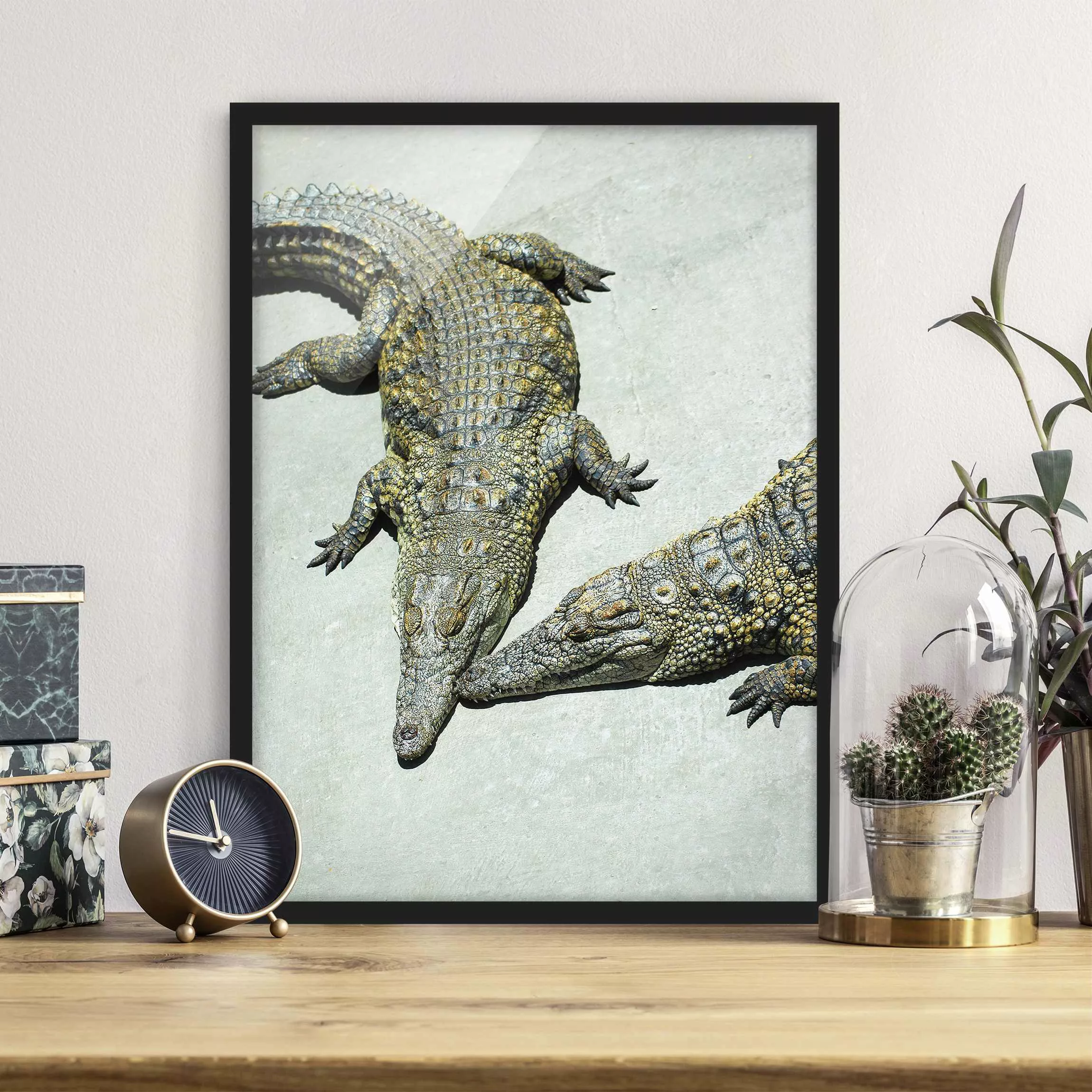 Bild mit Rahmen Tiere - Hochformat Crocodile Romance günstig online kaufen