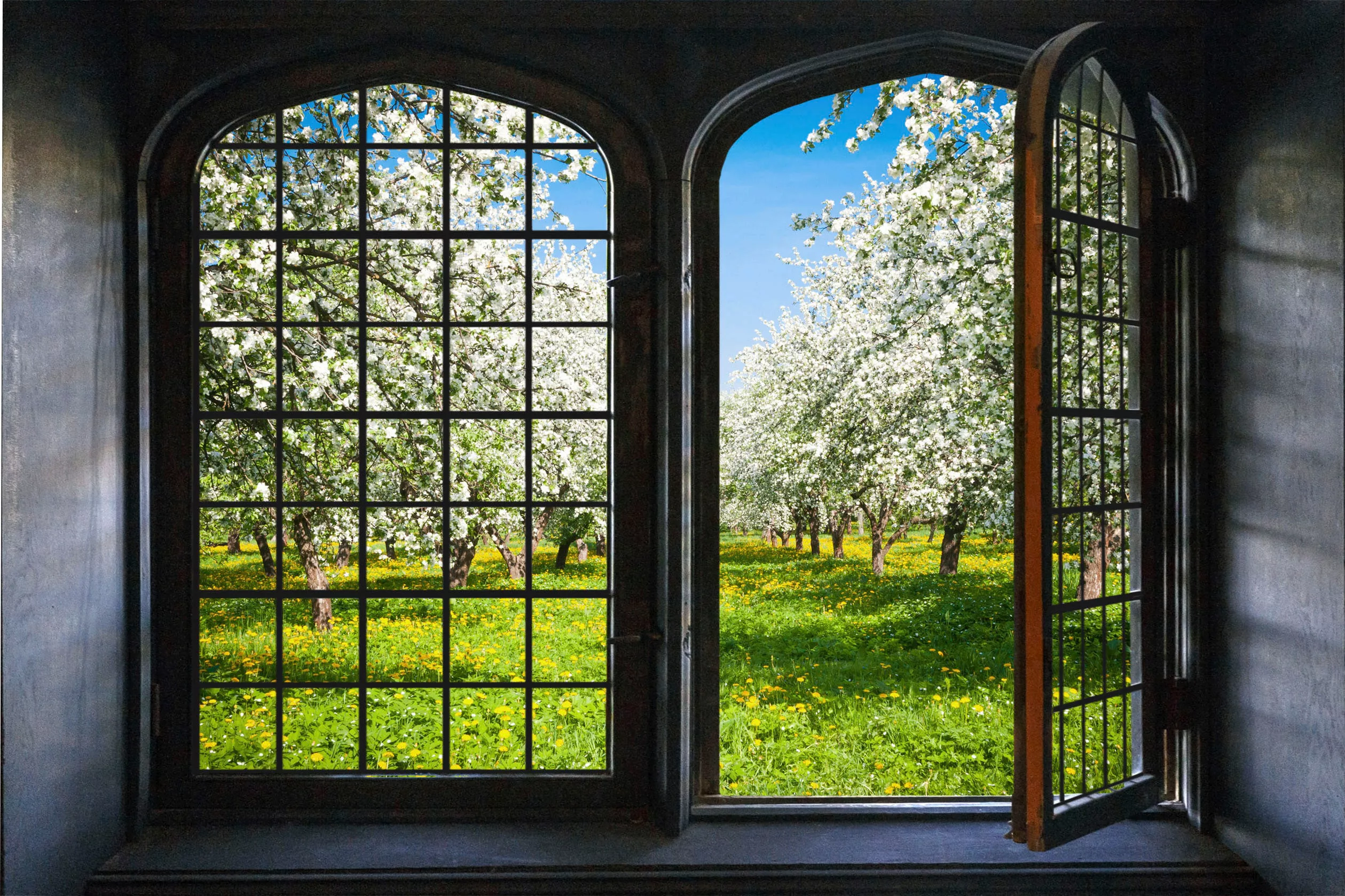 queence Wandsticker "Frühling" günstig online kaufen