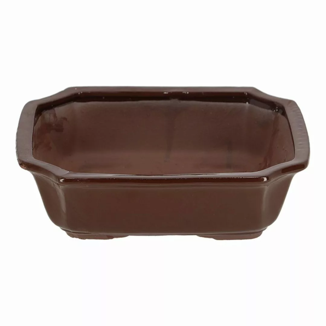 Rivanto Pflanzschale, Bonsai Schale rechteckig L günstig online kaufen