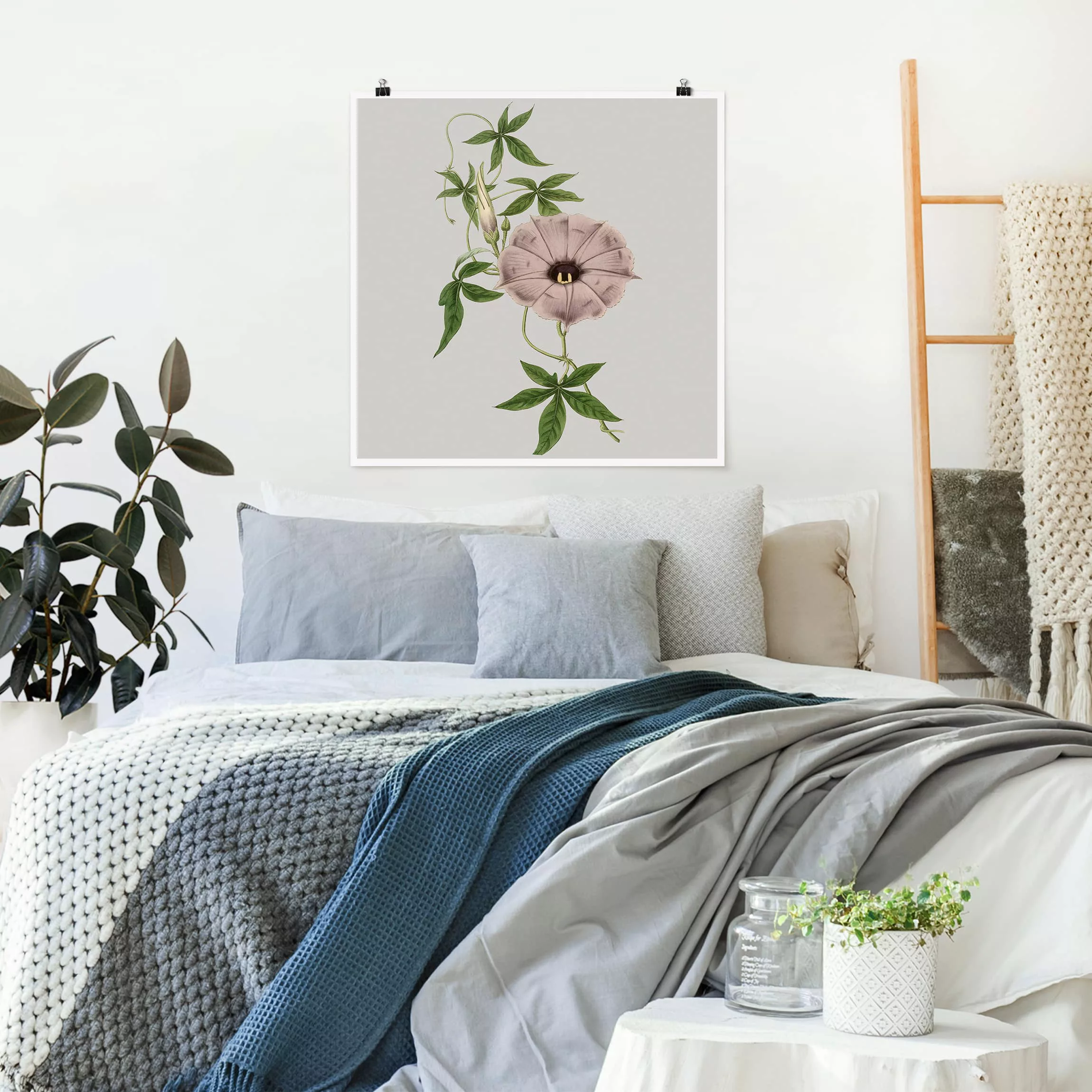 Poster Blumen - Quadrat Florale Schmuckstücke IV günstig online kaufen