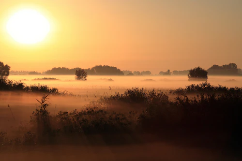 Papermoon Fototapete »SONNENUNTERGANG NEBEL LANDSCHAFT« günstig online kaufen