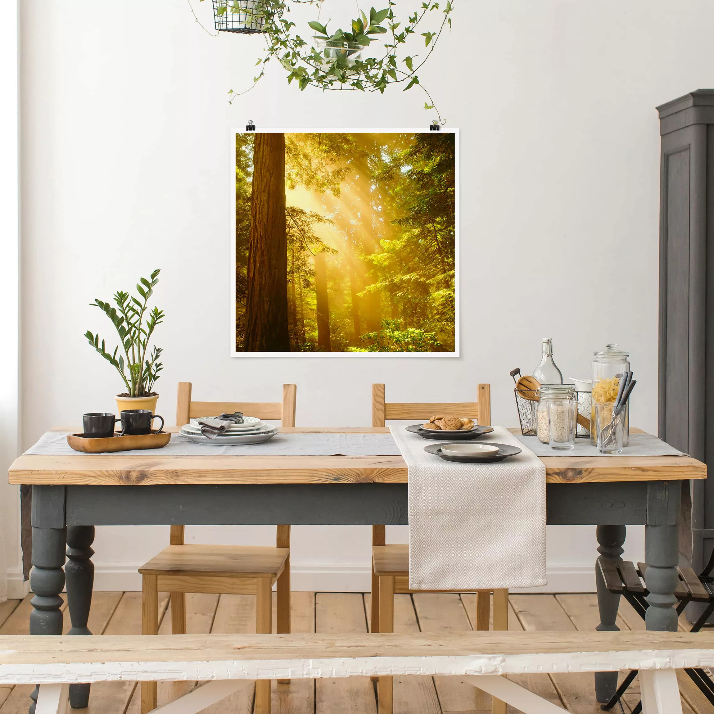 Poster Natur & Landschaft - Quadrat Morgengold günstig online kaufen