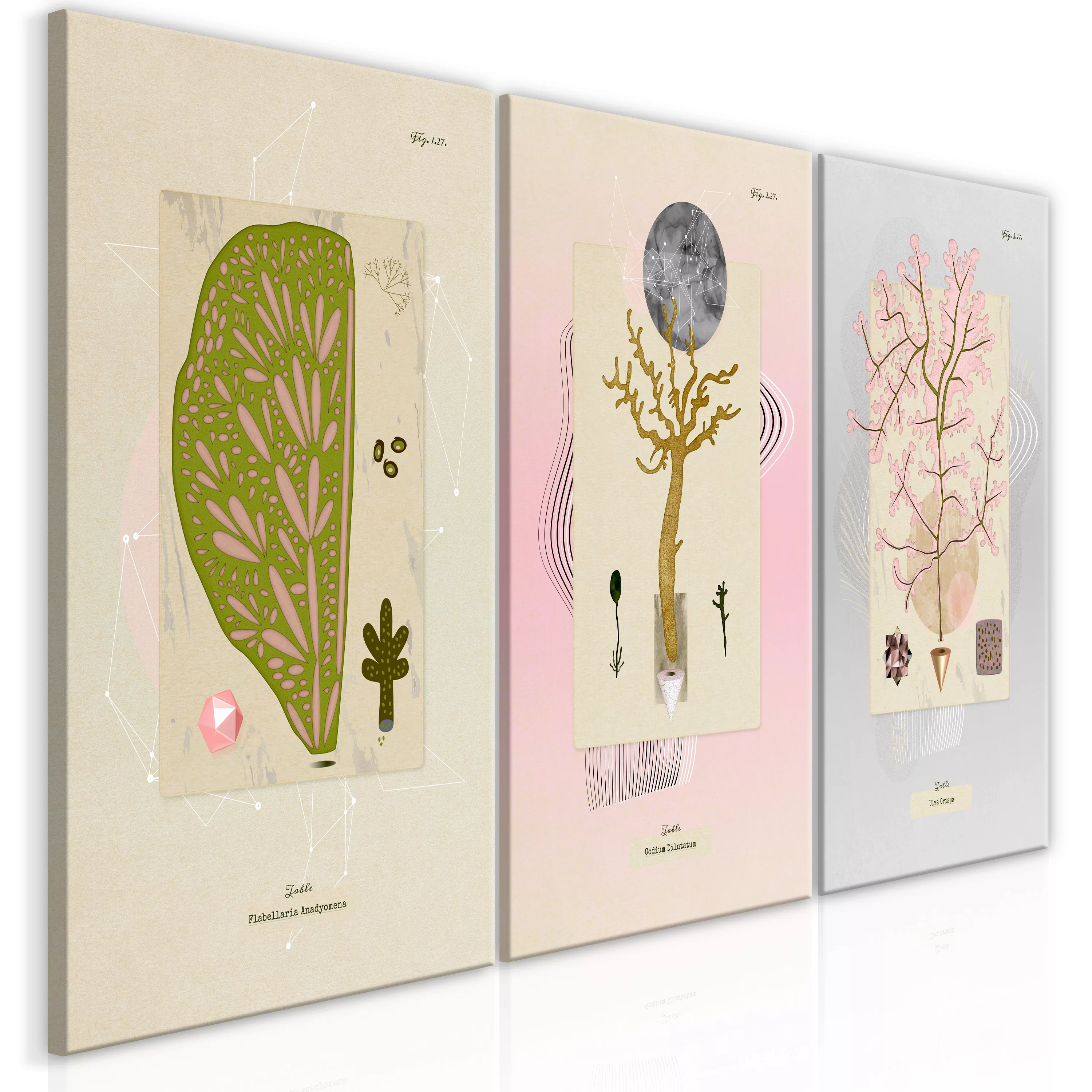 Wandbild - Trees (collection) günstig online kaufen