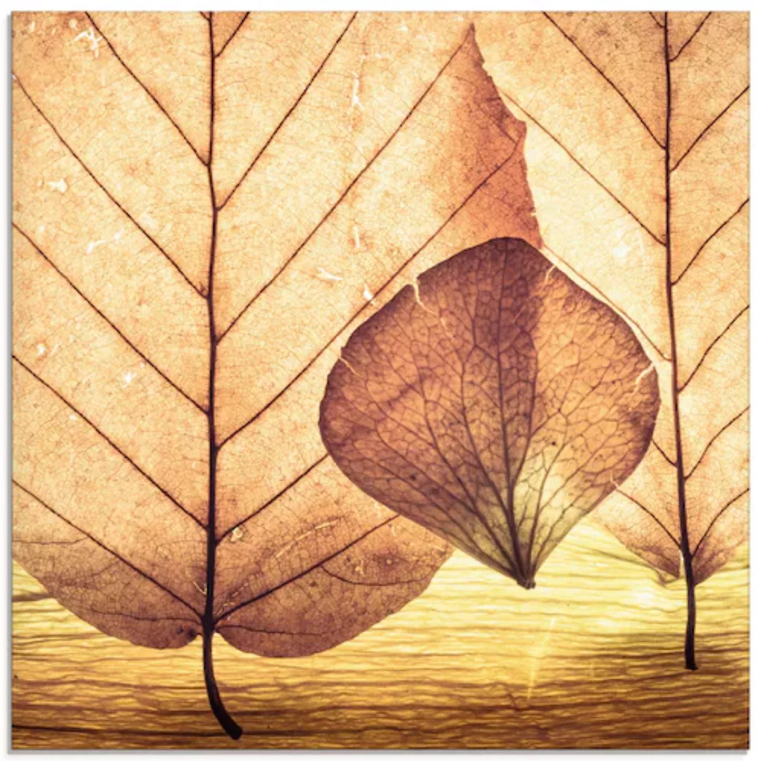 Artland Glasbild "Losgelöst", Blätter, (1 St.), in verschiedenen Größen günstig online kaufen