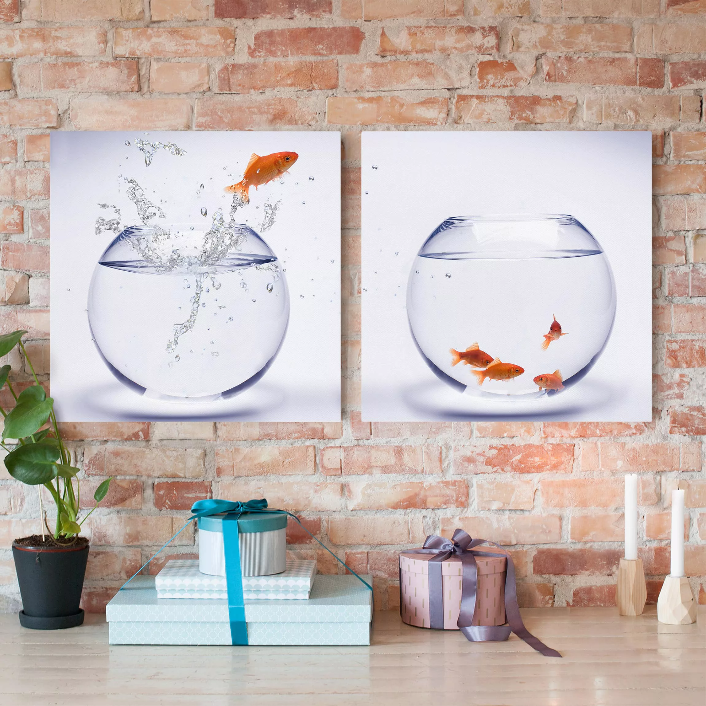 2-teiliges Leinwandbild Tiere - Quadrat Flying Goldfish günstig online kaufen