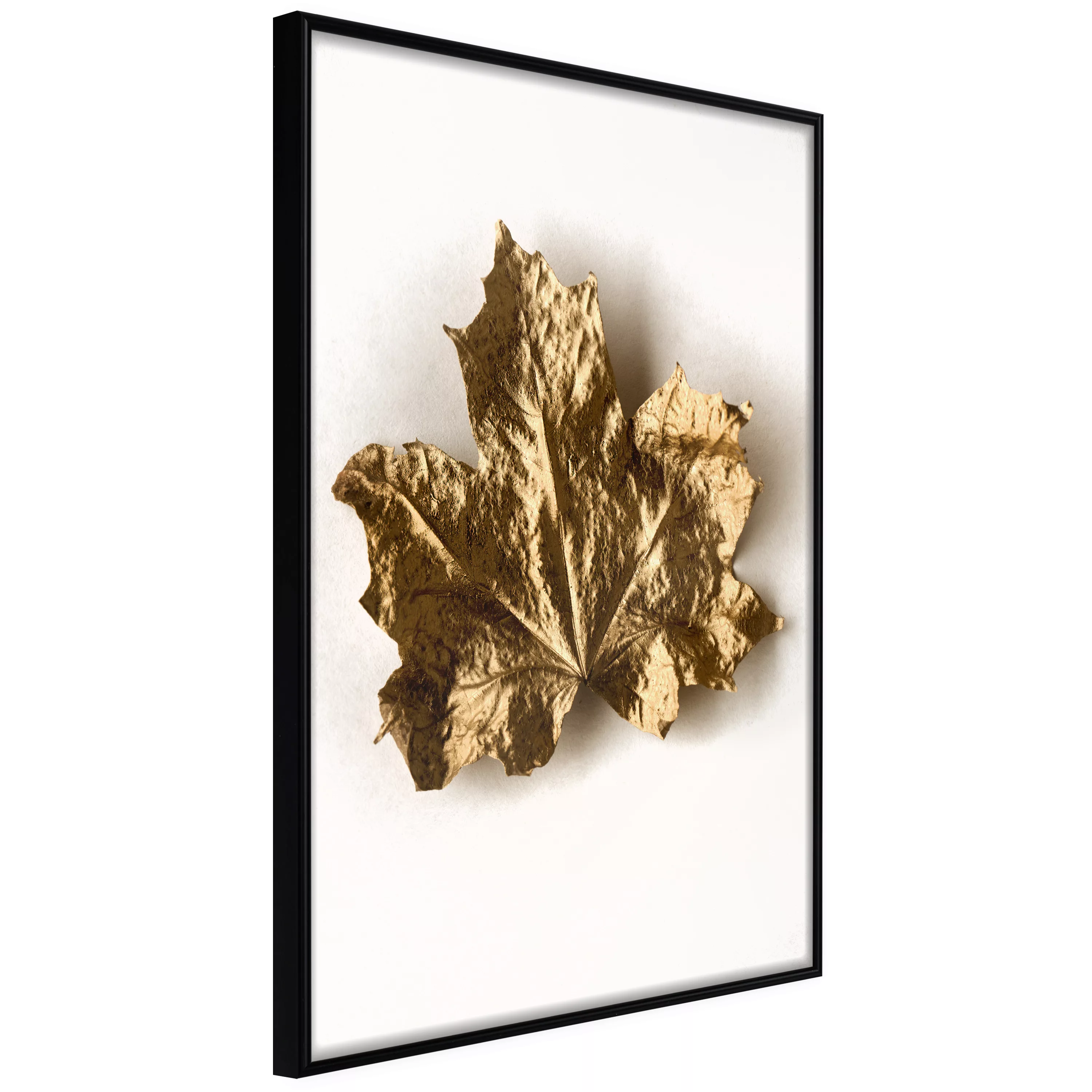 Poster - Dried Maple Leaf günstig online kaufen