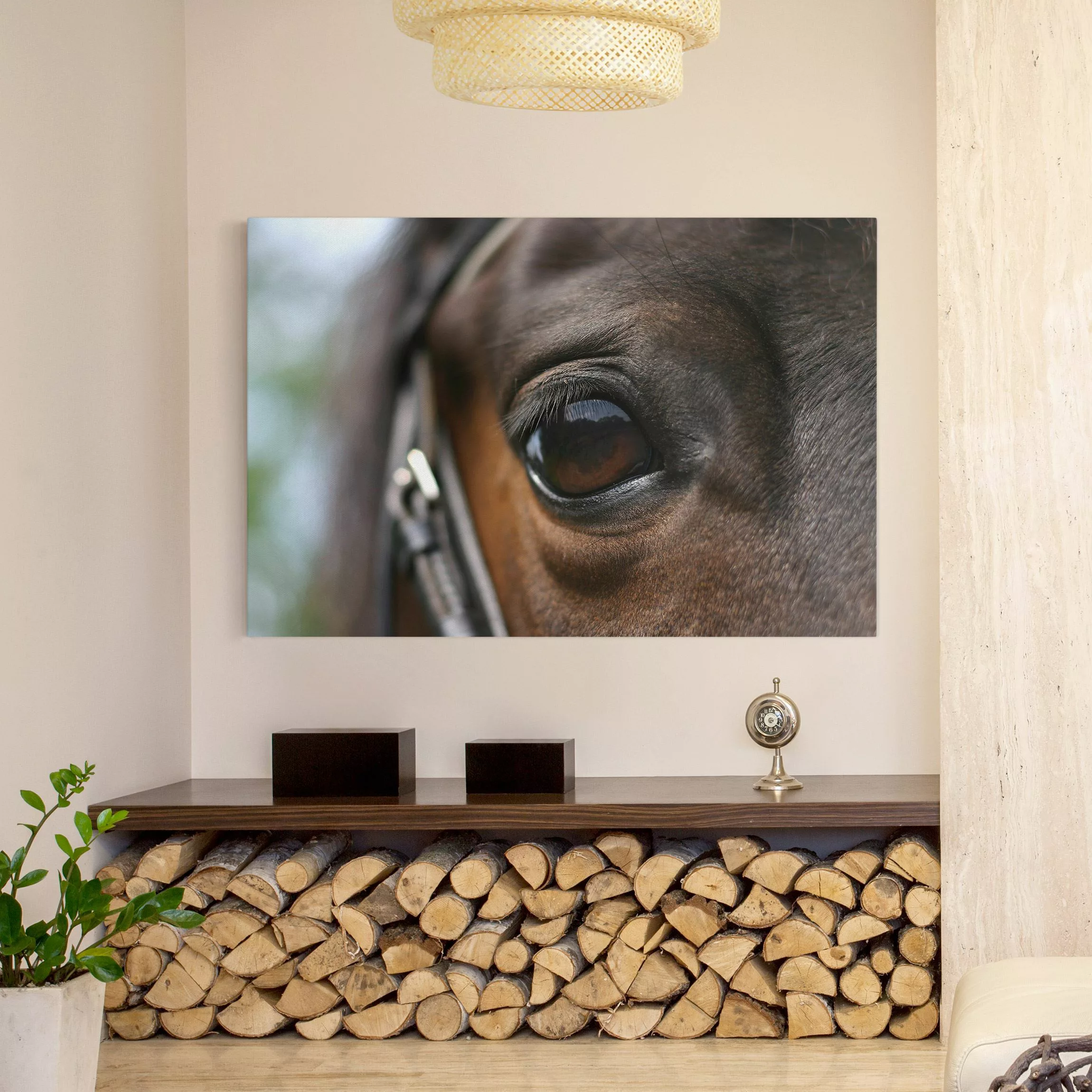 Leinwandbild Tiere - Querformat Horse Eye günstig online kaufen