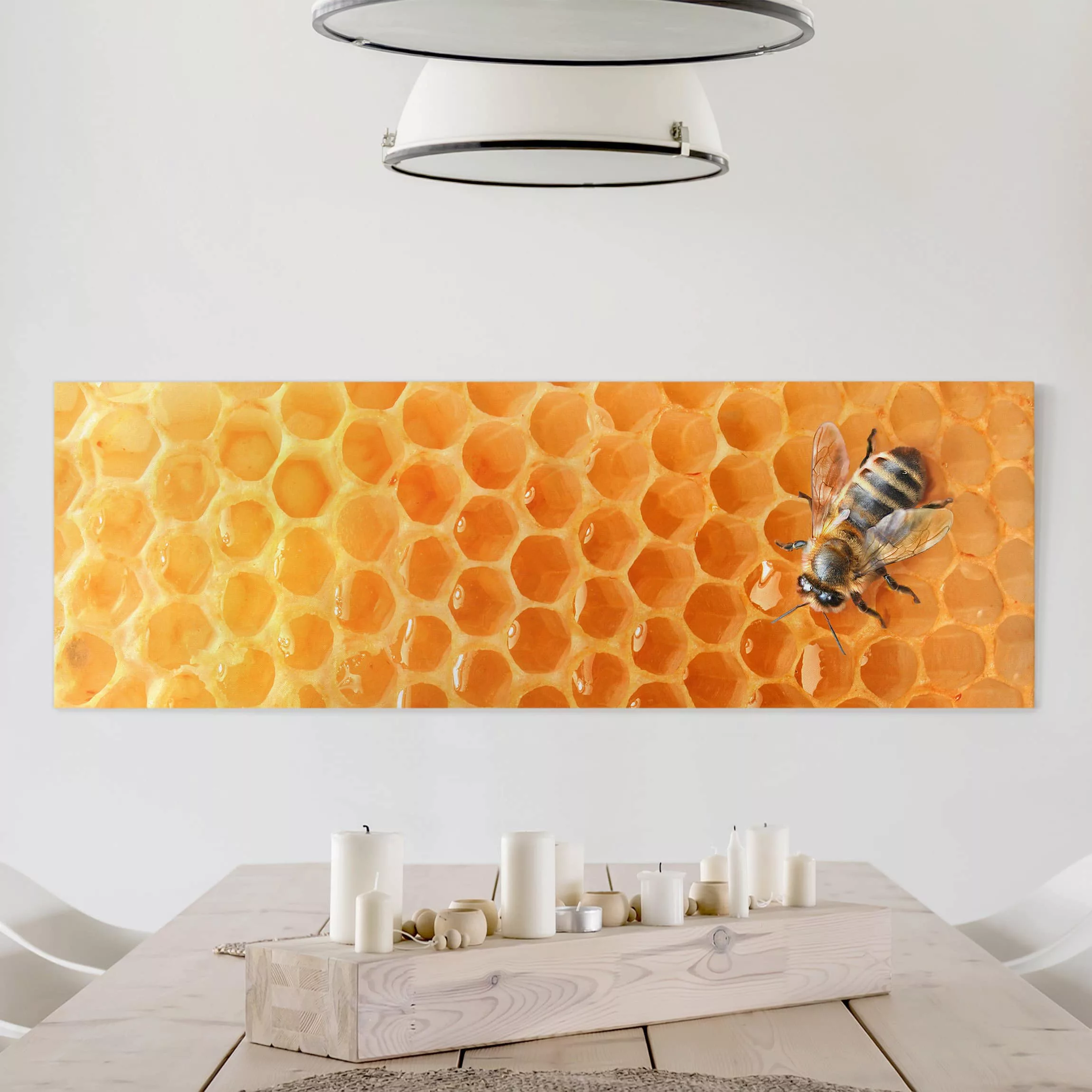 Leinwandbild Tiere - Panorama Honey Bee günstig online kaufen