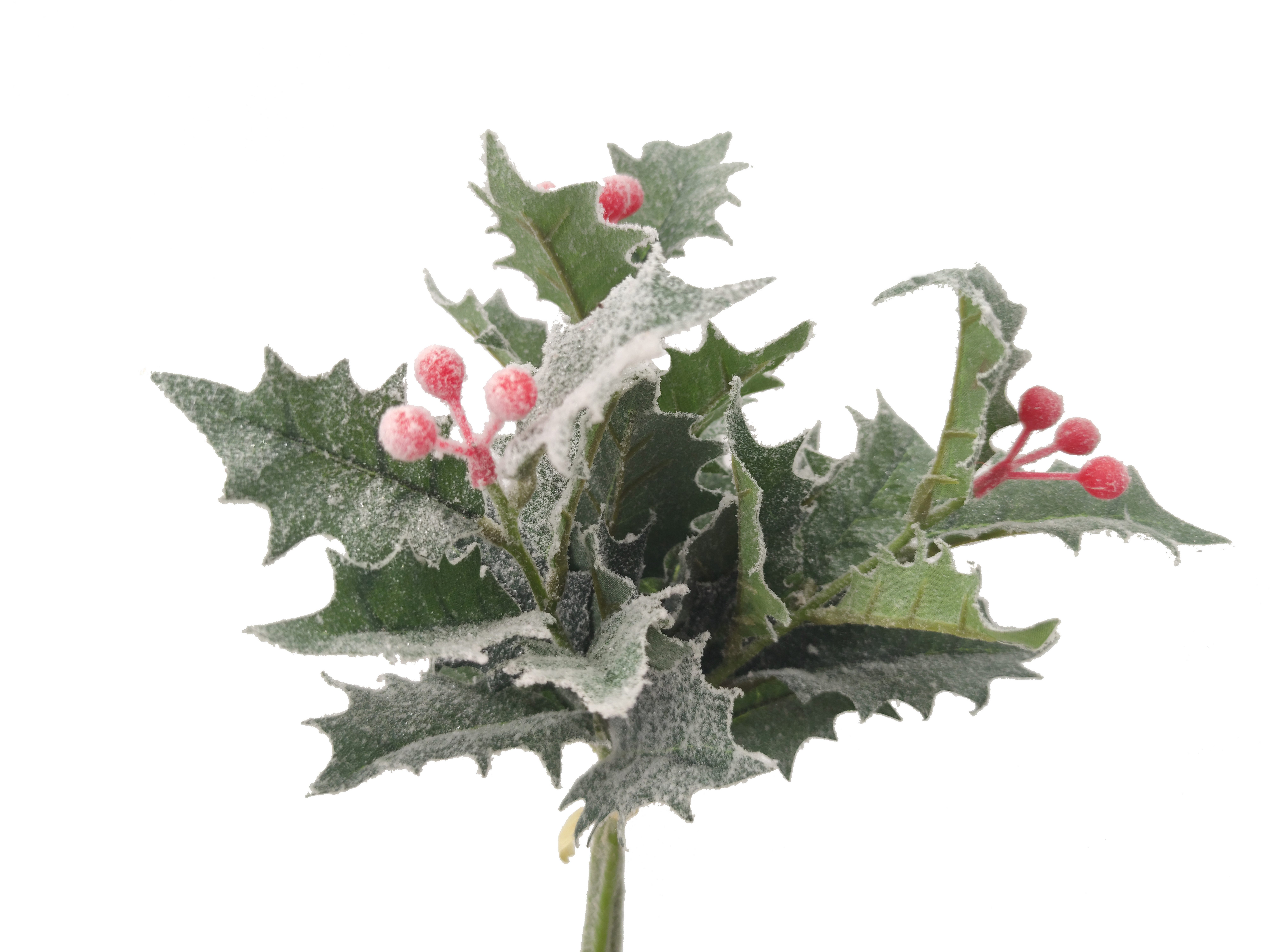Kunstzweig Winter Lorbeerzweig Frostlook, 2474U, Höhe günstig online kaufen