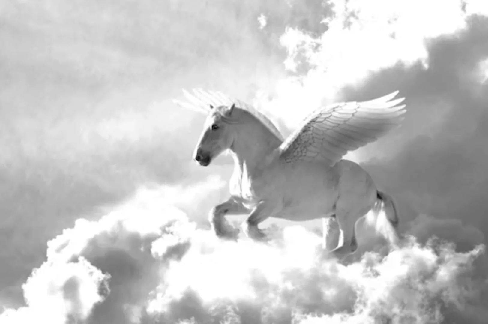 Papermoon Fototapete »Pegasus Schwarz & Weiß« günstig online kaufen