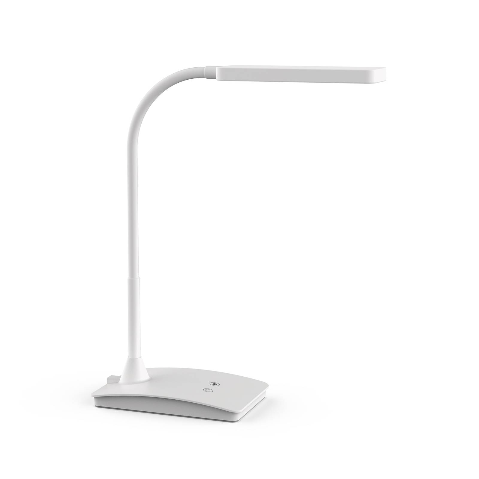 LED-Tischleuchte MAULpearly, CCT dimmbar weiß günstig online kaufen