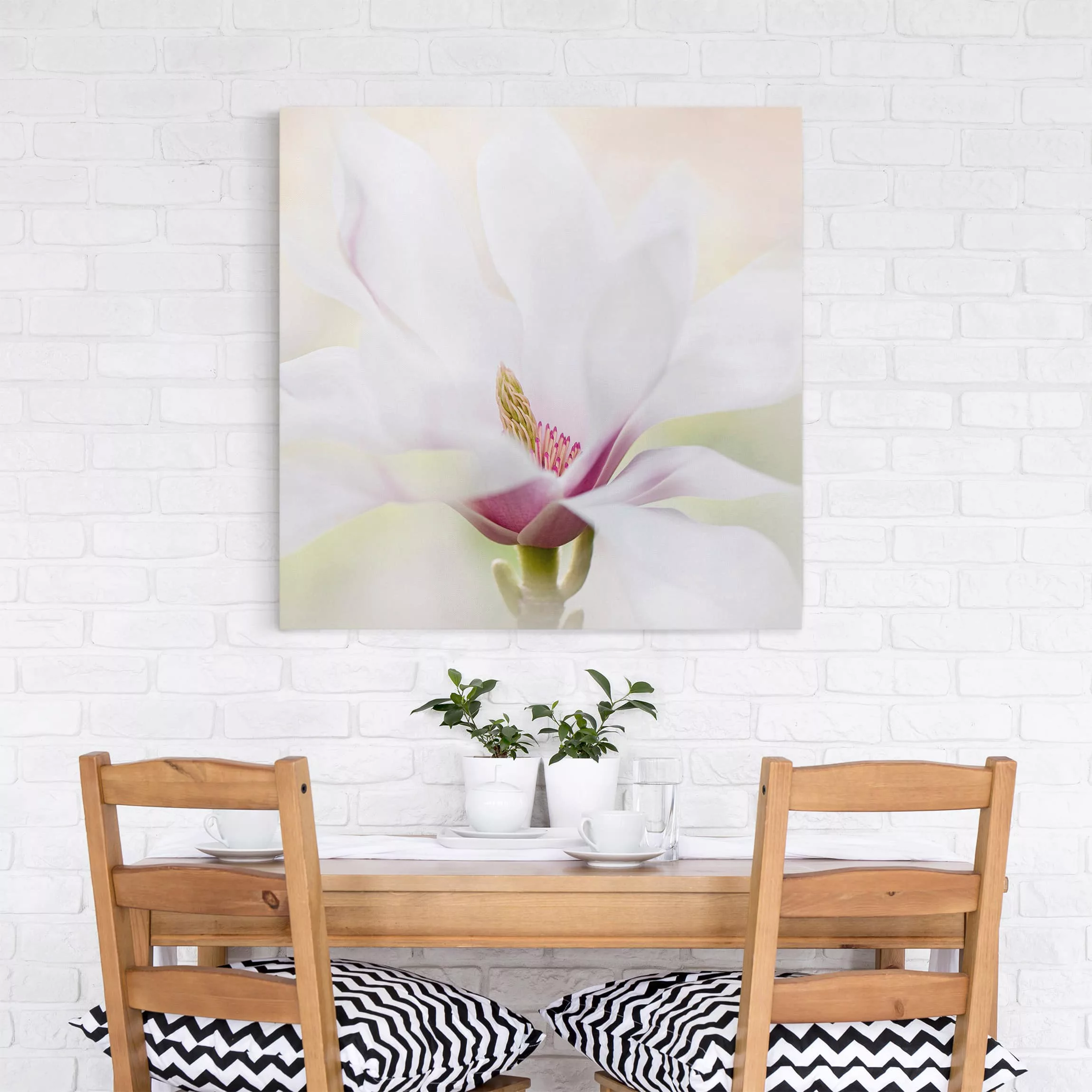 Leinwandbild Blumen - Quadrat Zarte Magnolienblüte günstig online kaufen