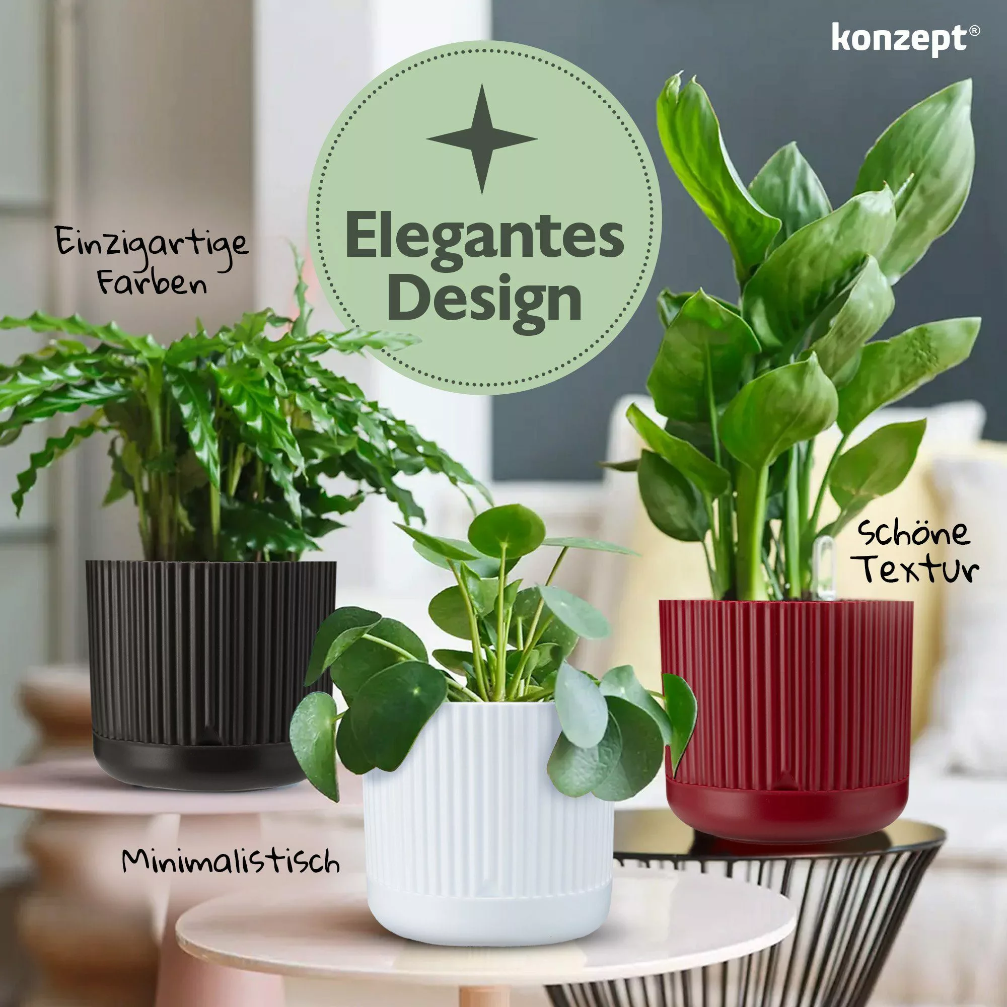 KONZEPT Blumentopf mit Untersetzer, 16 cm günstig online kaufen