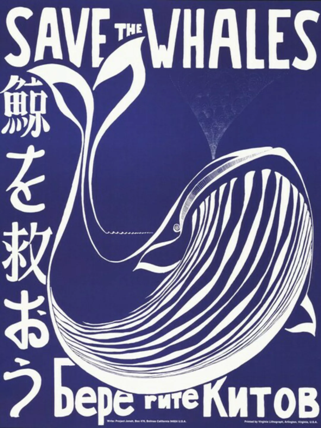 Poster / Leinwandbild - Save The Whales günstig online kaufen