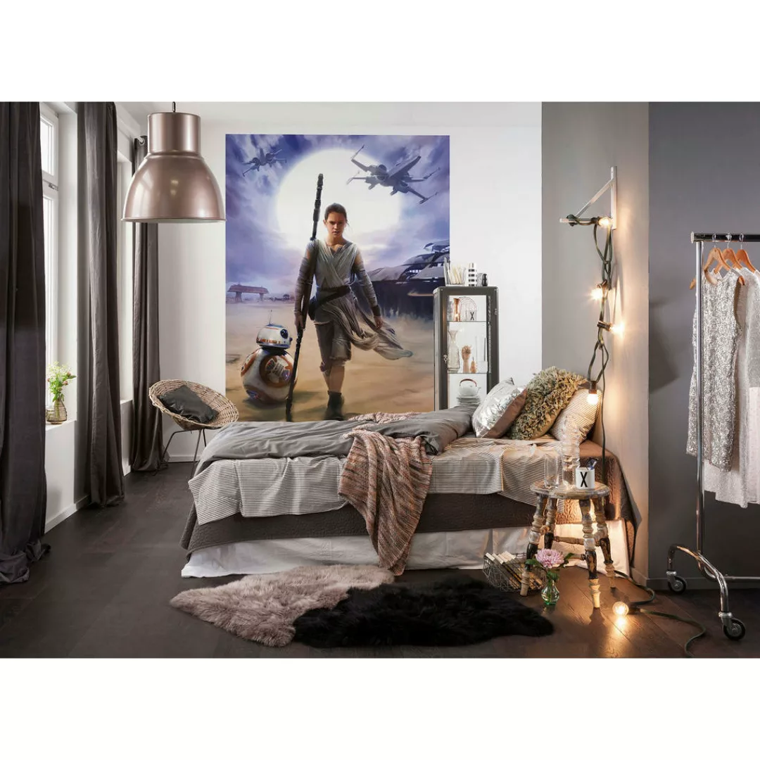 Komar Fototapete STAR WARS Rey 184 cm x 254 cm FSC® günstig online kaufen