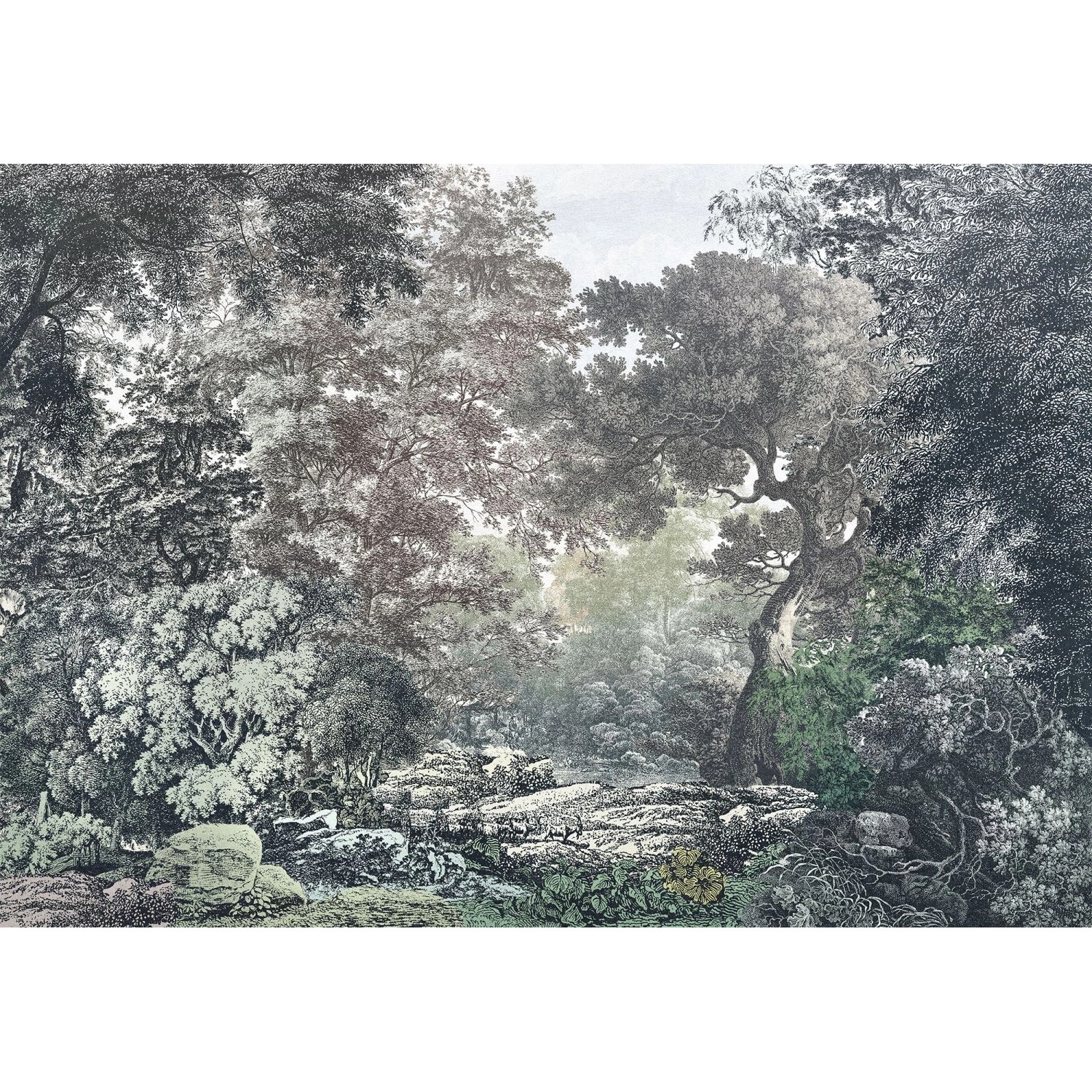 Komar Fototapete Wald Grau 4 x 2,80 m 612806 günstig online kaufen