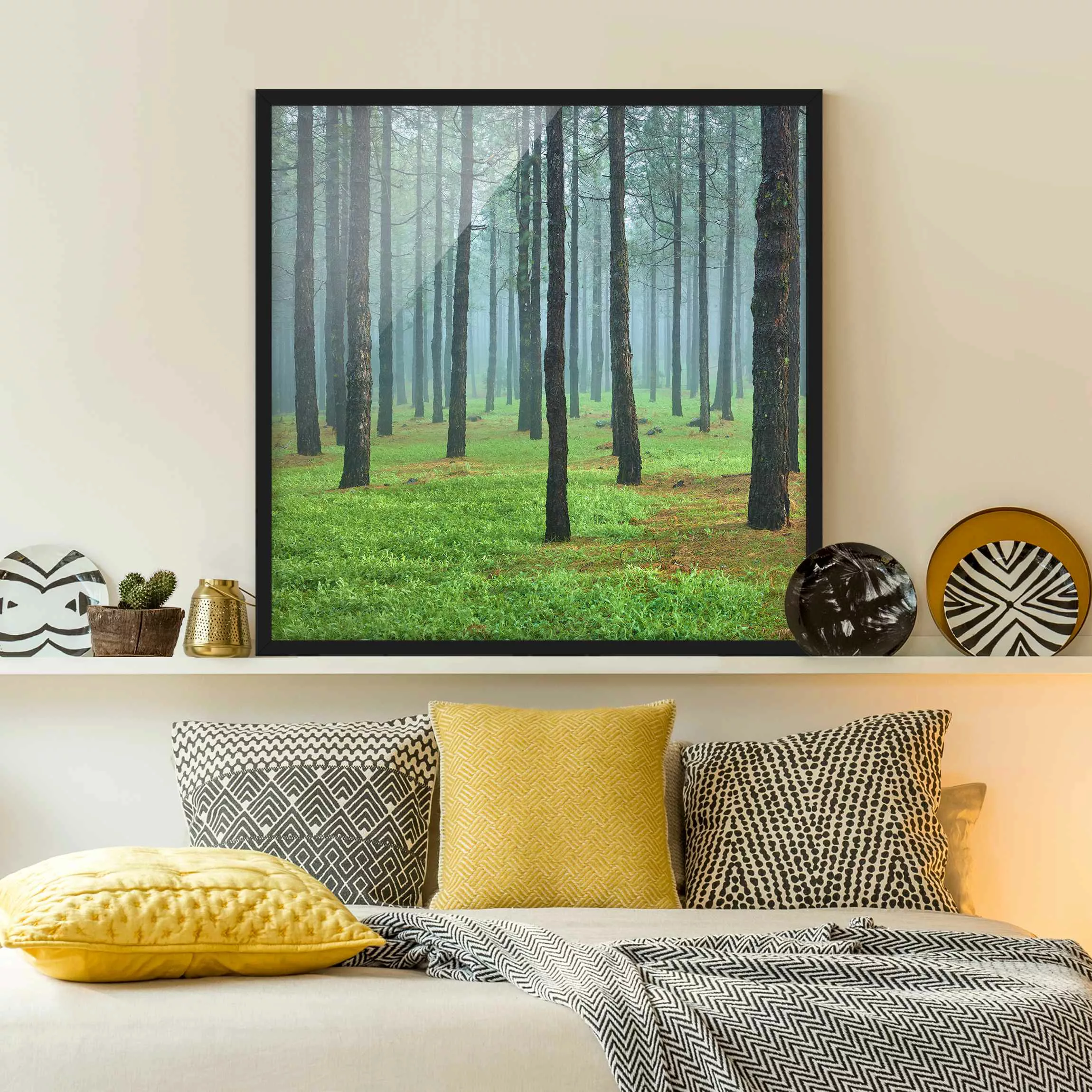 Bild mit Rahmen Natur & Landschaft - Quadrat Tiefer Wald mit Kiefern auf La günstig online kaufen