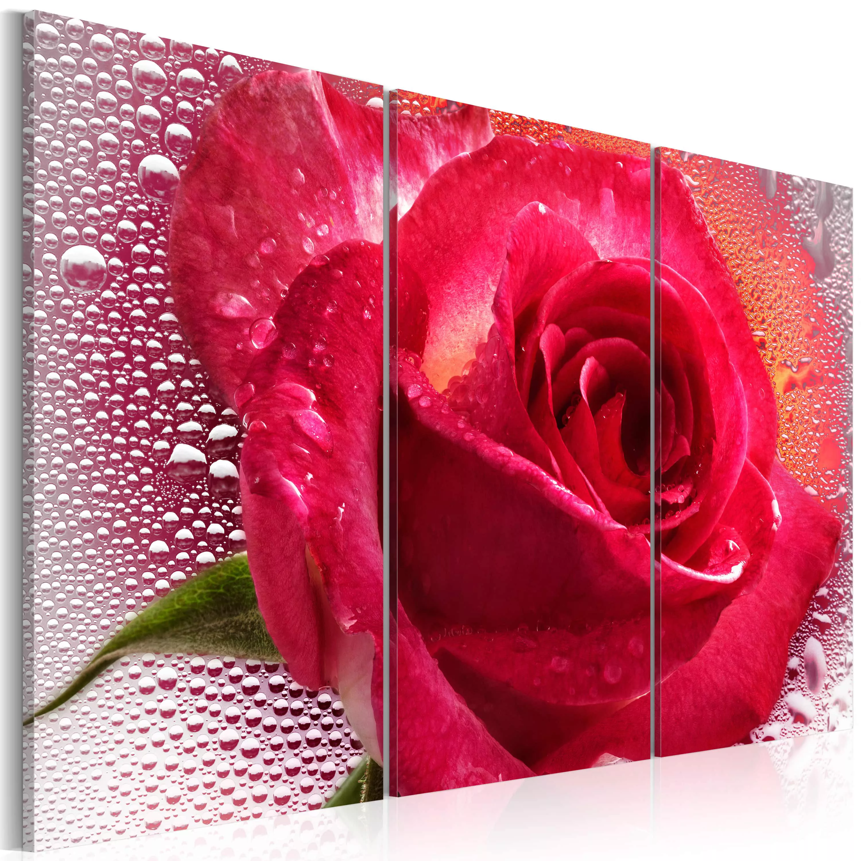 Wandbild - Lady Rose - triptych günstig online kaufen