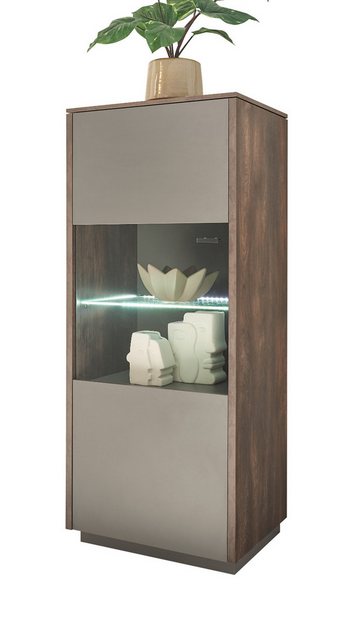 Furn.Design Standvitrine Piano (Vitrine in Thermo Eiche und grau, 55 x 130 günstig online kaufen