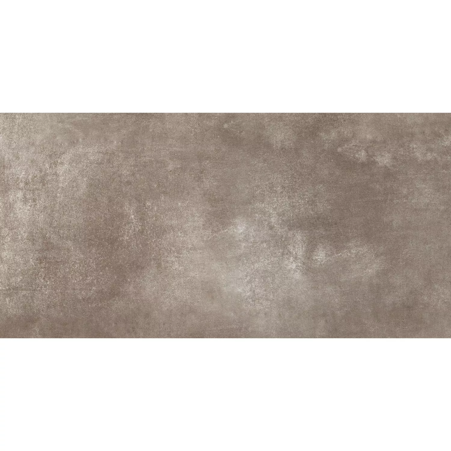 Bodenfliese Feinsteinzeug Taupe Matt Rektifizierung 60 cm x 120 cm günstig online kaufen