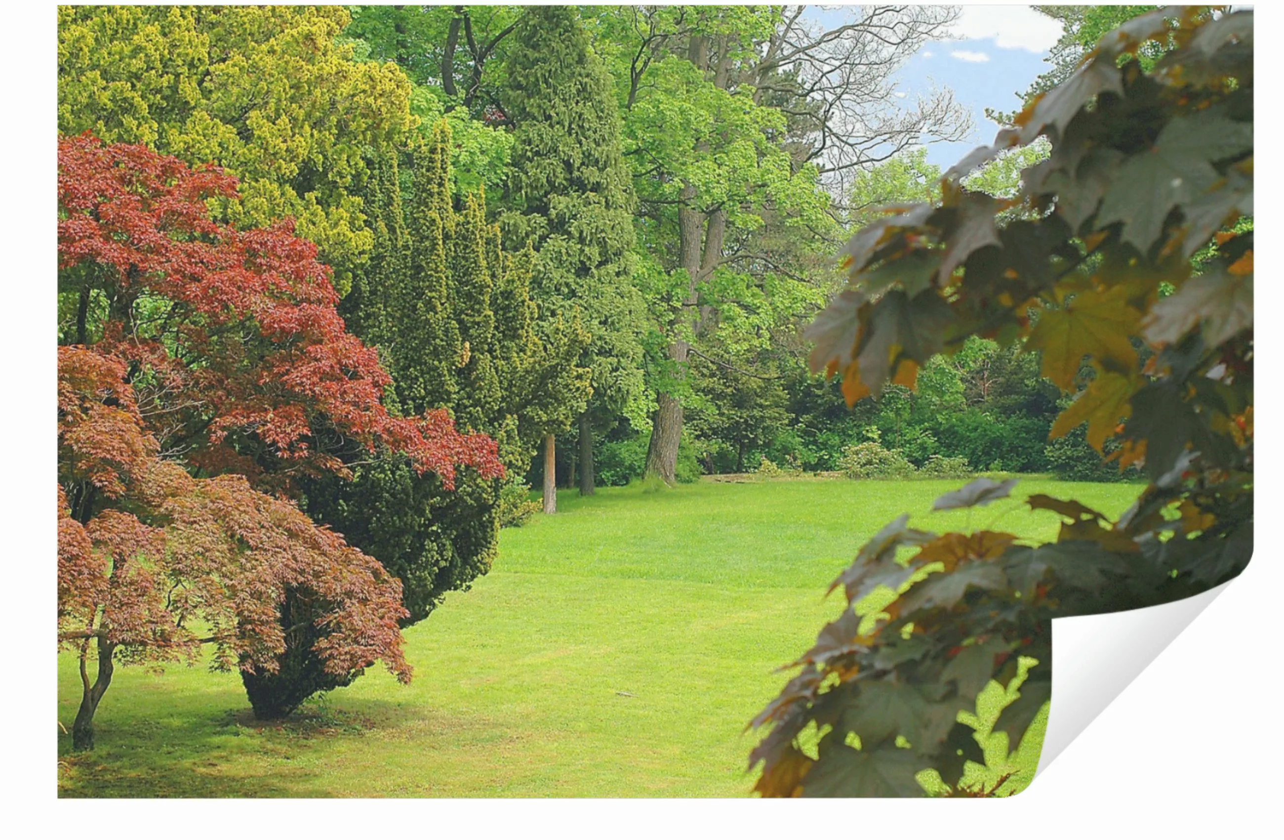 Wallarena Fototapete Garten Natur Baum Papier günstig online kaufen