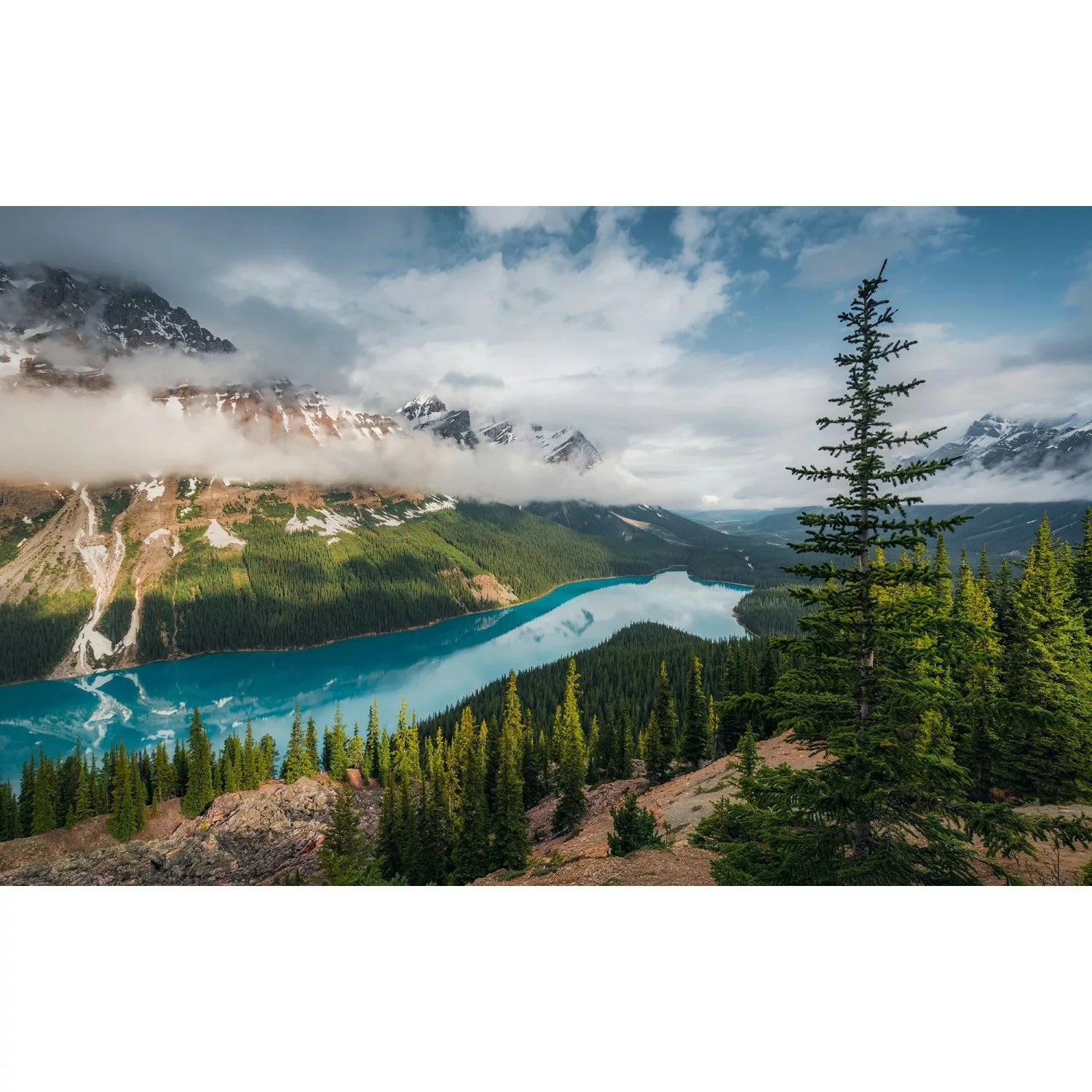 Sanders & Sanders Fototapete Landschaft Grün und Blau 450 x 280 cm 612680 günstig online kaufen