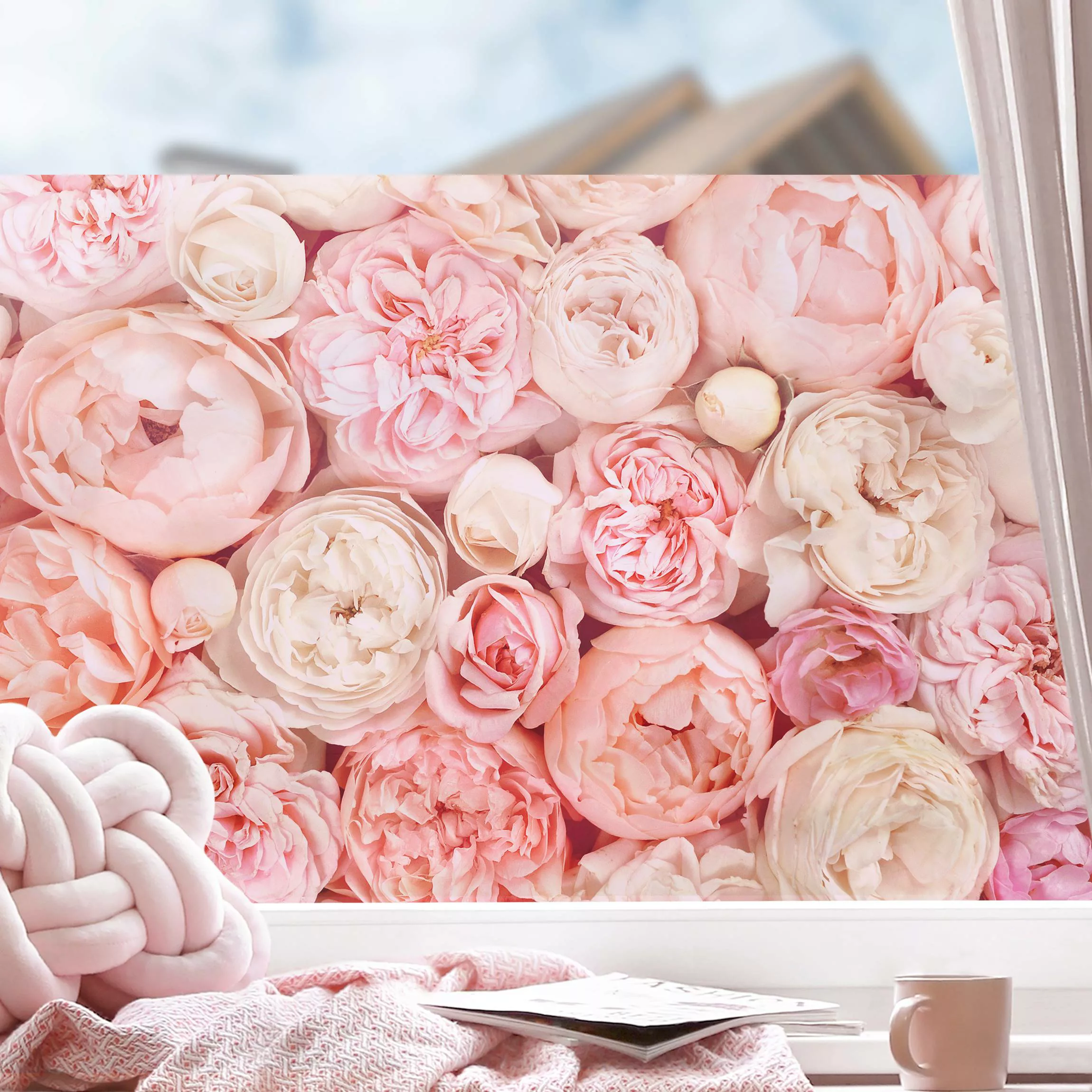 Fensterfolie Rosen Rosé Koralle Shabby günstig online kaufen