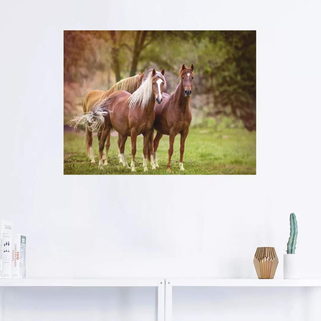 Artland Wandbild "Pferde in den Feldern I", Haustiere, (1 St.), als Leinwan günstig online kaufen