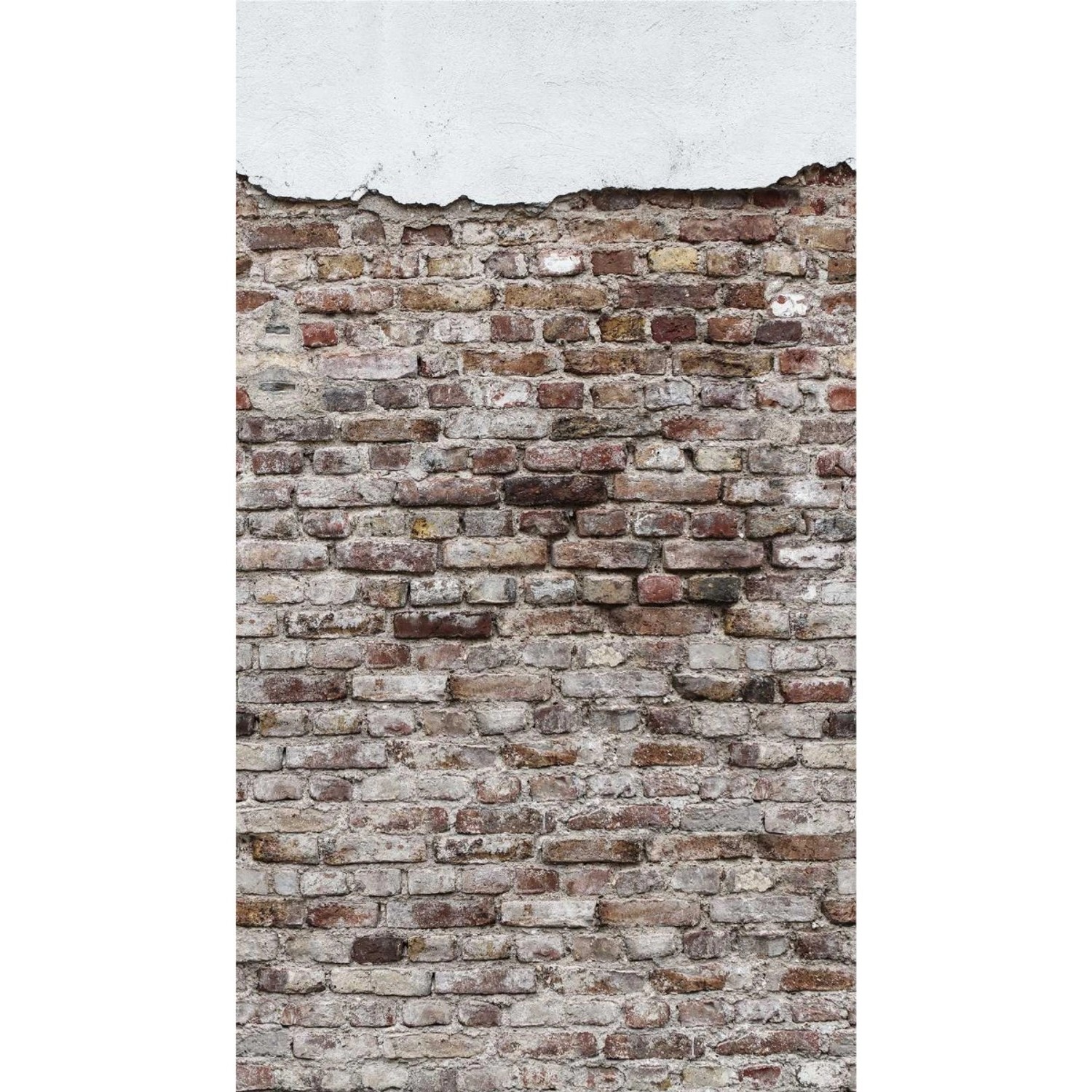 A.S. Création Fototapete Vlies Steinmauer Vintage 159 cm x 280 cm FSC® günstig online kaufen