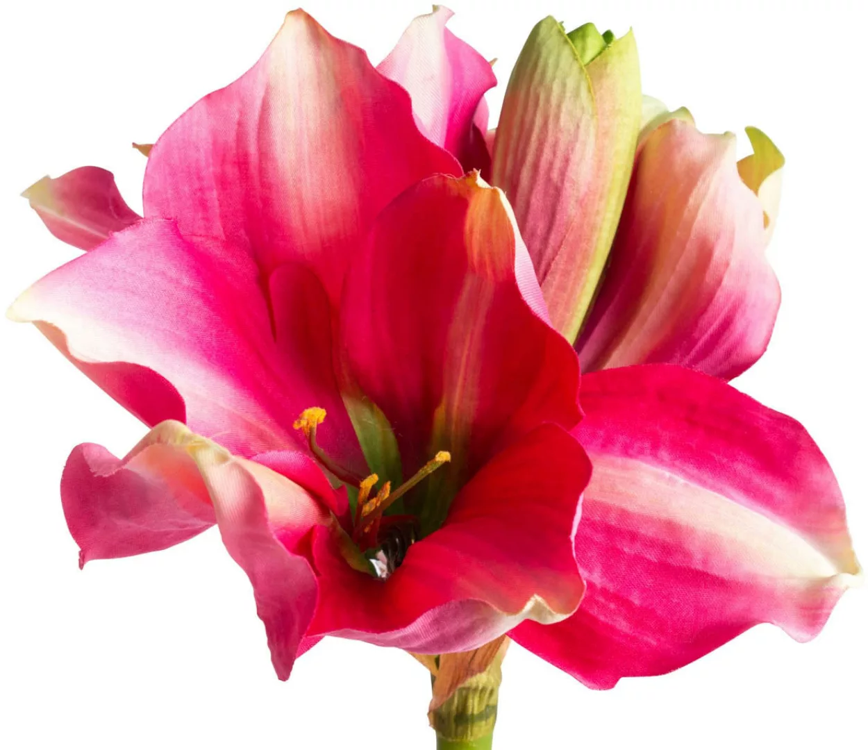 Botanic-Haus Kunstblume "Amaryllis im braunen Kunststofftopf" günstig online kaufen