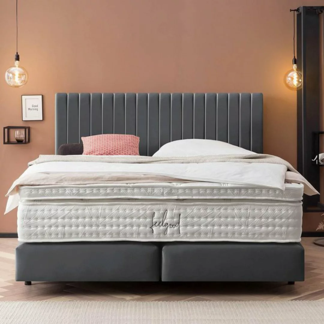 BettCo Boxspringbett Paris (in Dunkelgrau Velours, 200 x 200 cm), Pfeifenst günstig online kaufen