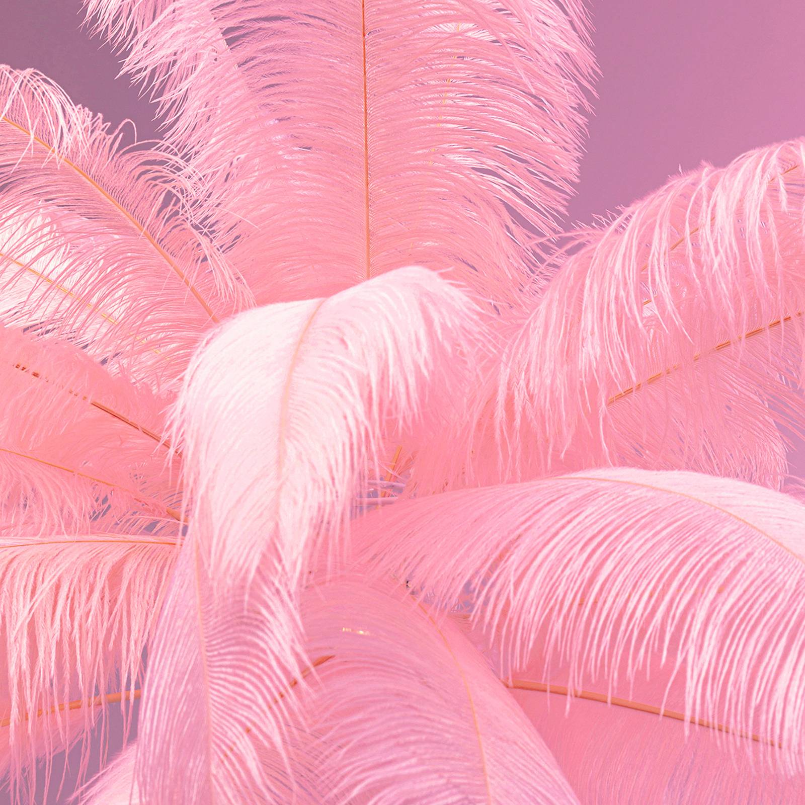KARE Feather Palm Stehleuchte mit Federn, pink günstig online kaufen