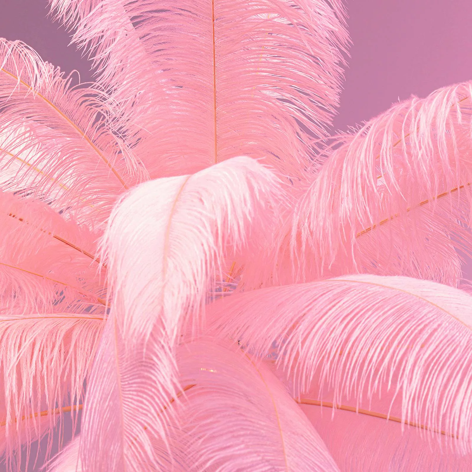 KARE Feather Palm Stehleuchte mit Federn, pink günstig online kaufen