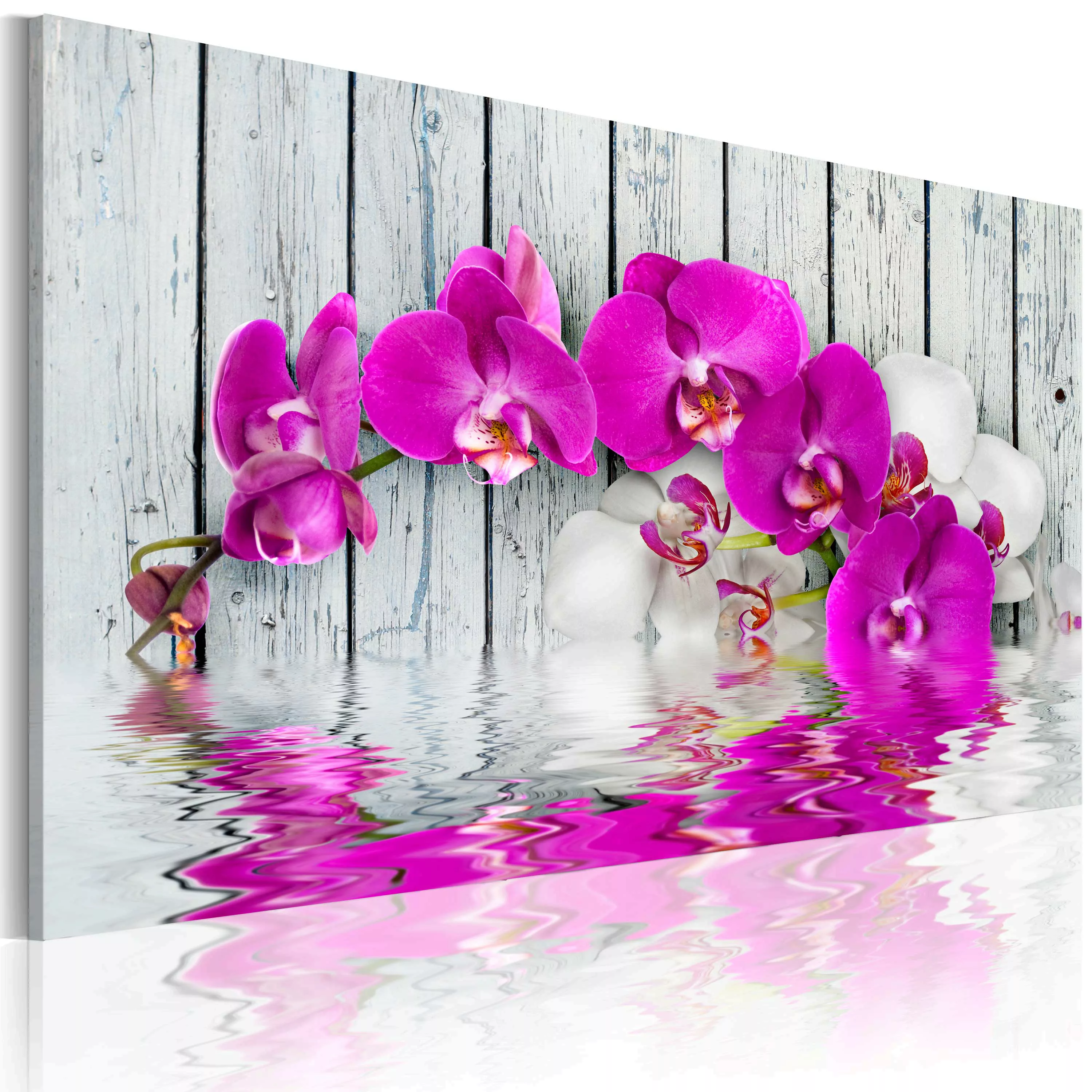 Wandbild - Harmonie: Orchidee günstig online kaufen