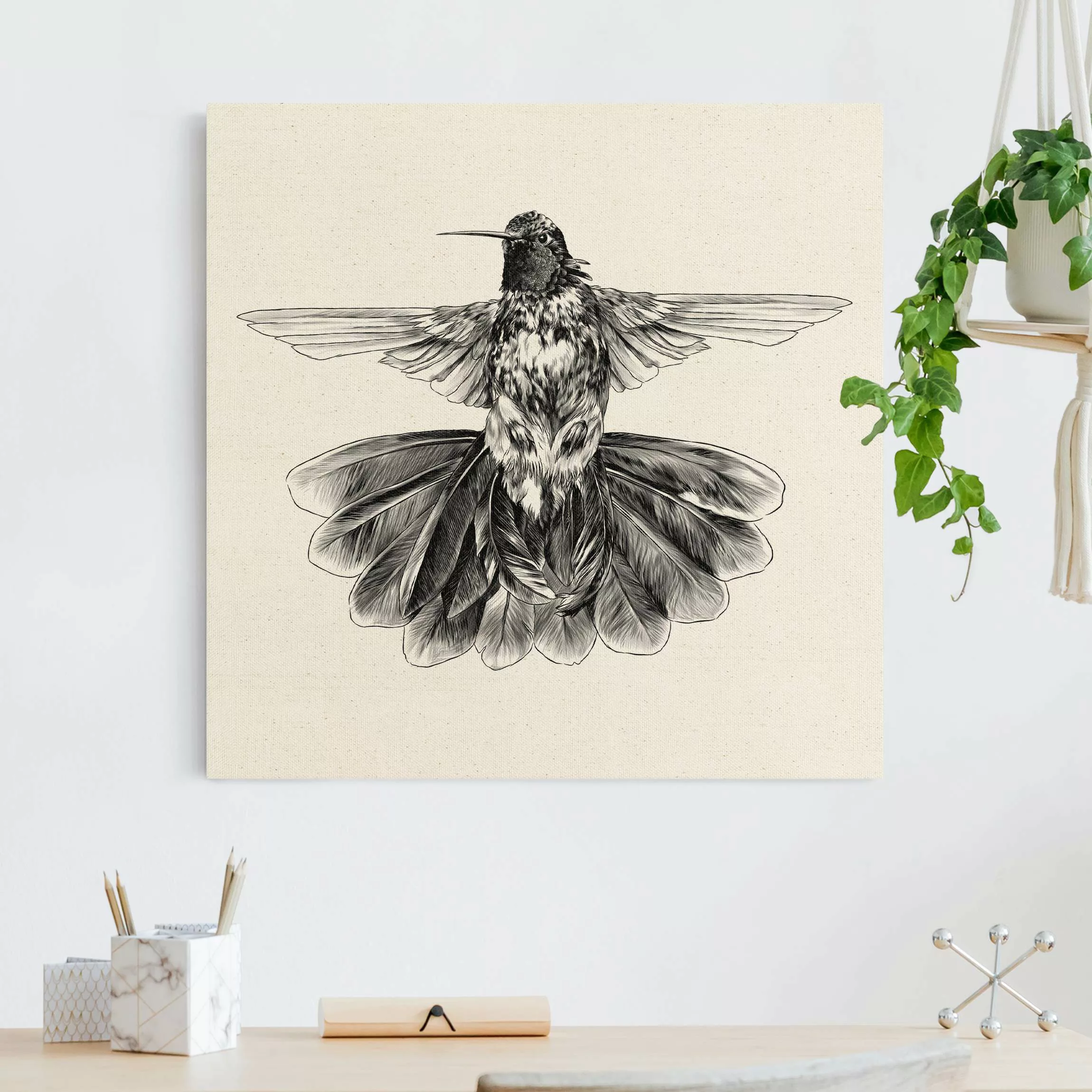 Leinwandbild auf Naturcanvas Illustration fliegender Kolibri Schwarz günstig online kaufen