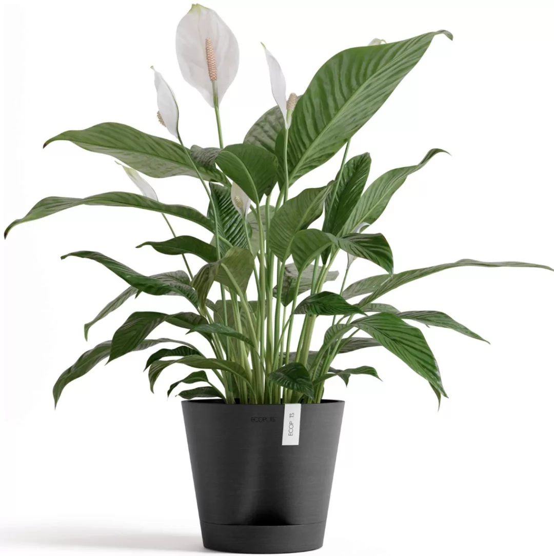 ECOPOTS Blumentopf "Venice 2 20 Dunkelgrau", für den Innenbereich günstig online kaufen