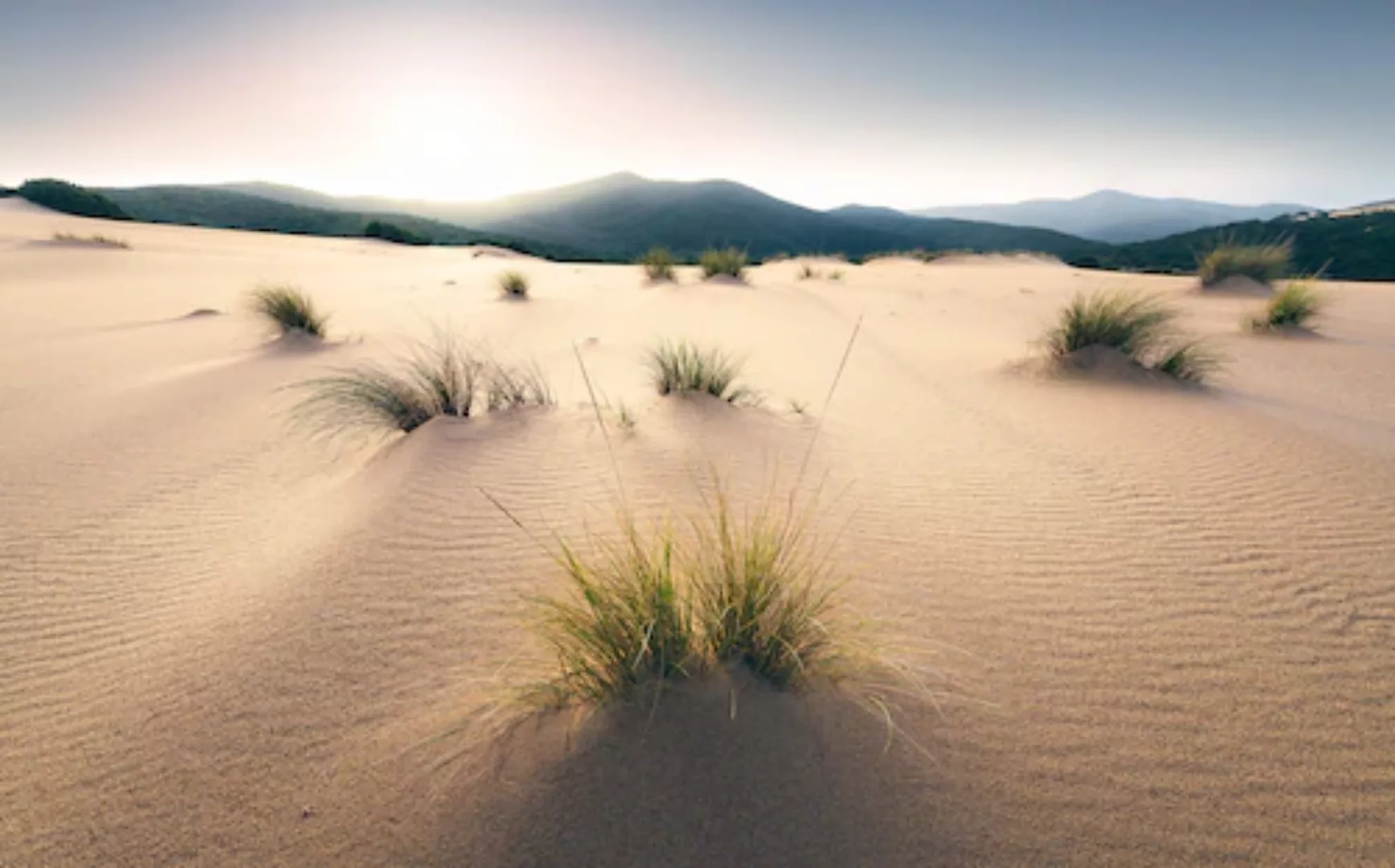 KOMAR Vlies Fototapete - Vivid Dunes - Größe 450 x 280 cm mehrfarbig günstig online kaufen