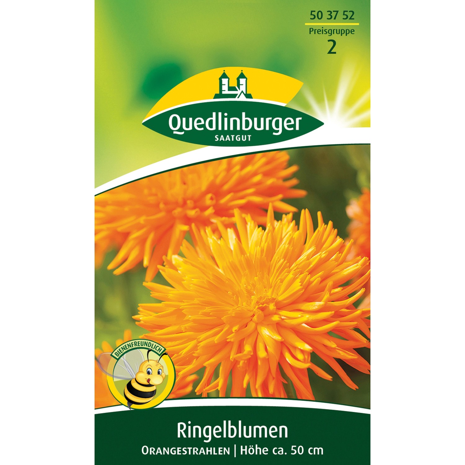 Quedlinburger Ringelblume ''Orangestrahlen'' günstig online kaufen