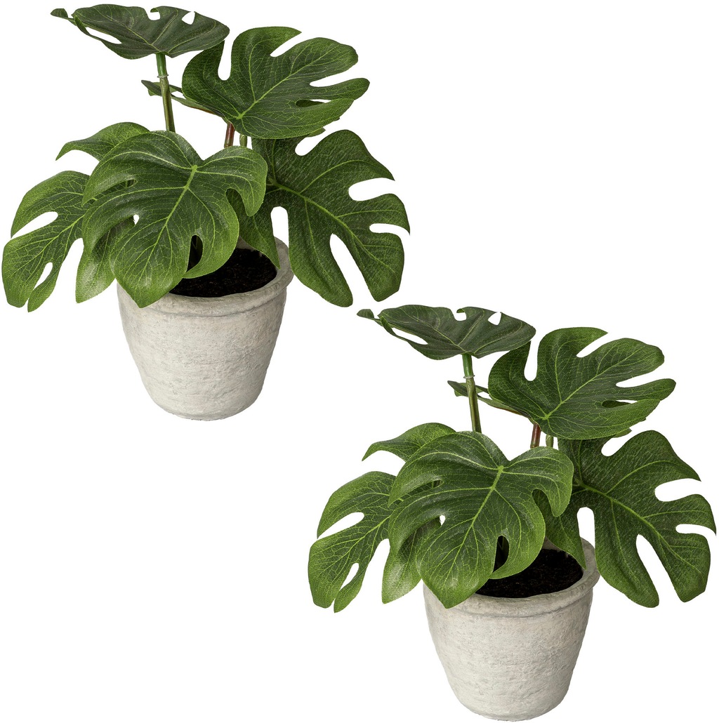 Creativ green Künstliche Zimmerpflanze "Blattpflanze Splitphilodendron", im günstig online kaufen