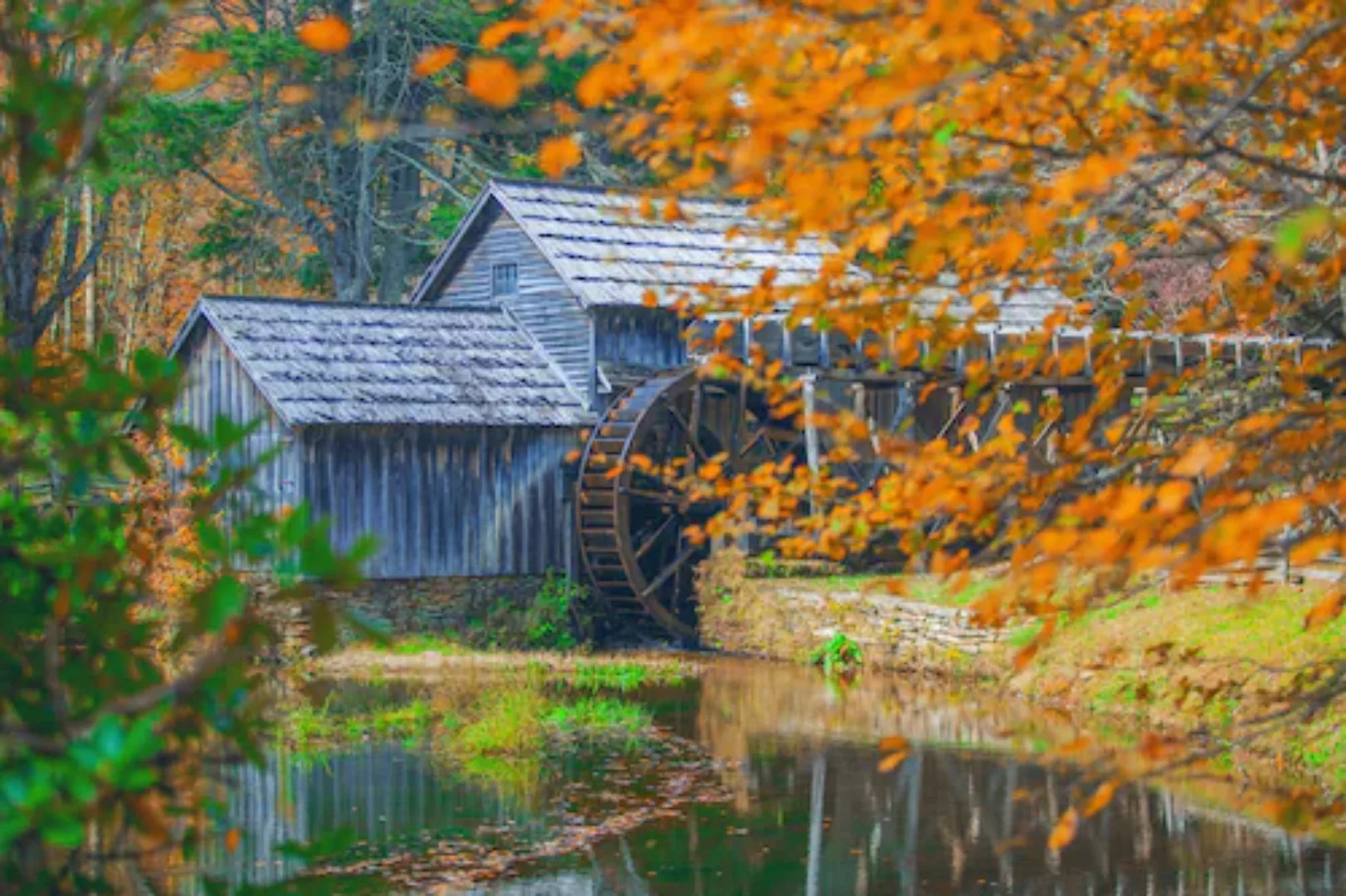 Papermoon Fototapete »SEE-LANDSCHAFT-MÜHLE WALD WALD FLUSS STRAND BOOTE SON günstig online kaufen