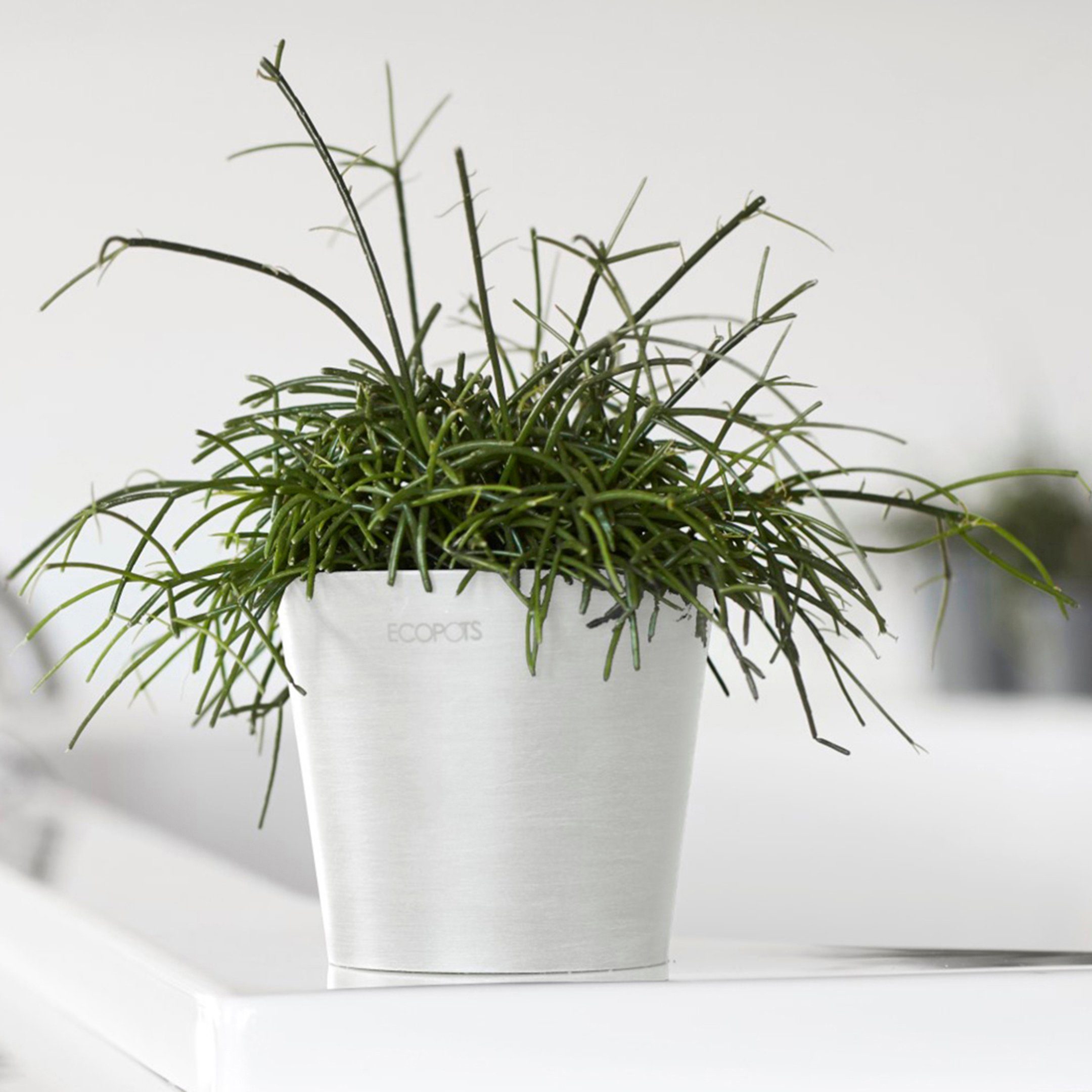ECOPOTS Blumentopf Amsterdam Mini 10,5 Weiß, günstig online kaufen
