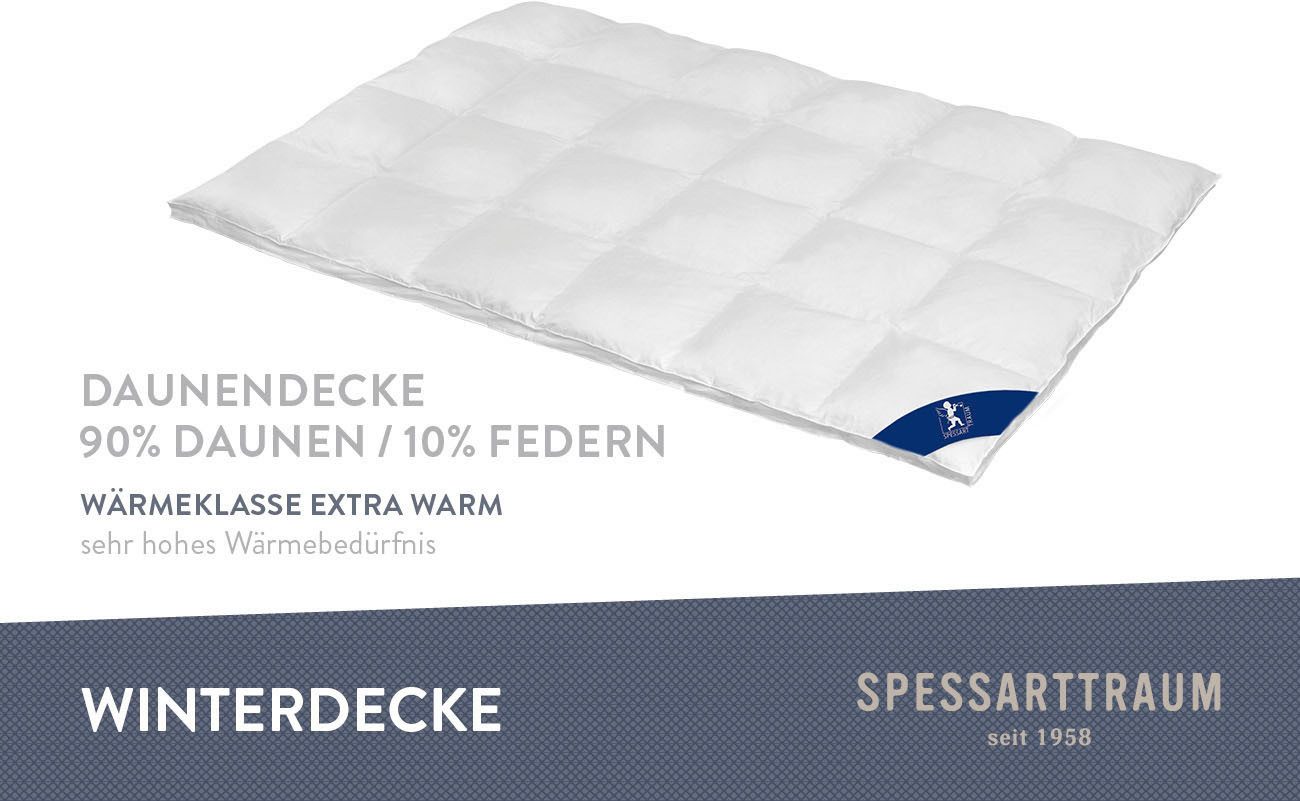 SPESSARTTRAUM Daunenbettdecke First Class, Füllung: 90% günstig online kaufen