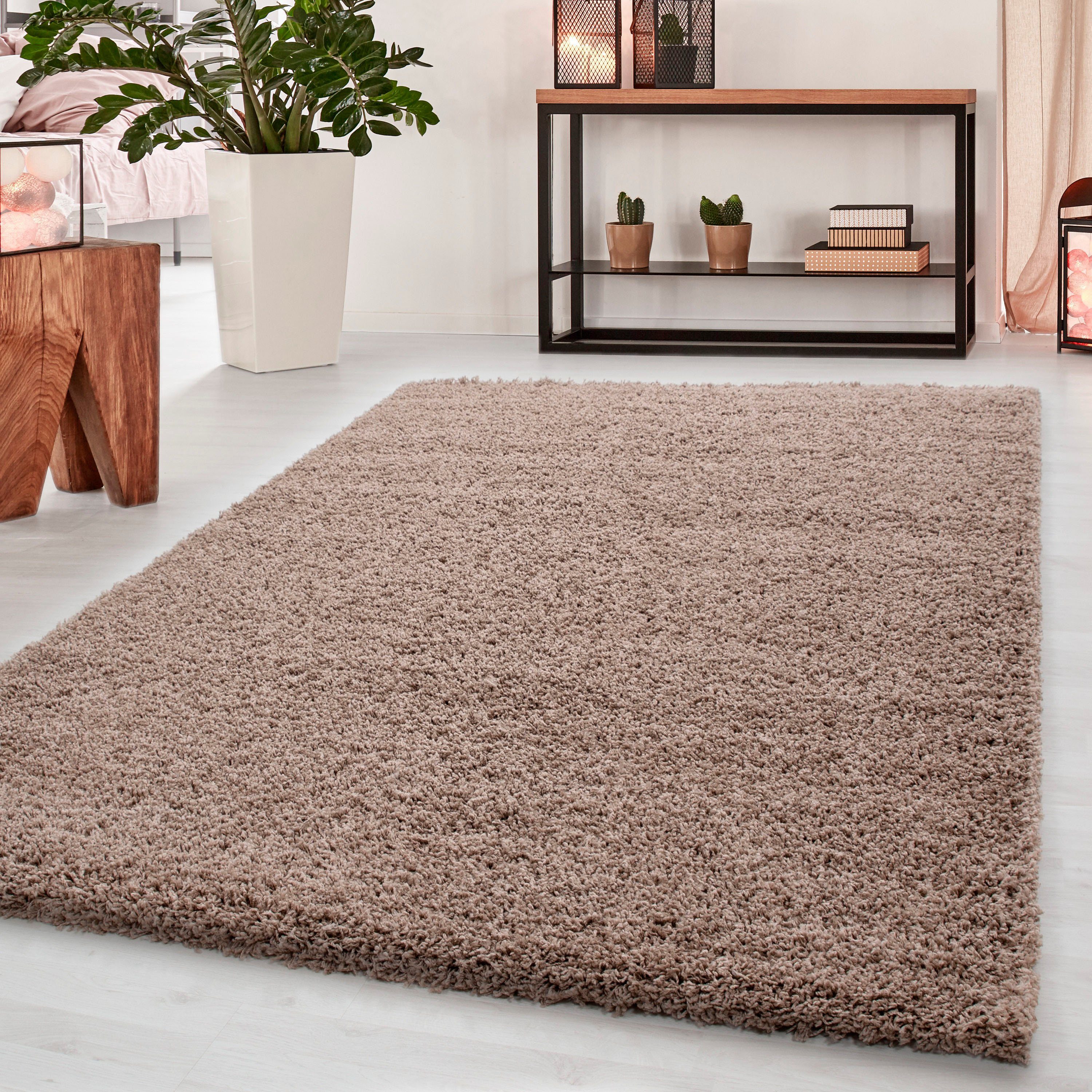 Ayyildiz Teppiche Hochflor-Teppich »Dream Shaggy«, rechteckig, 50 mm Höhe, günstig online kaufen