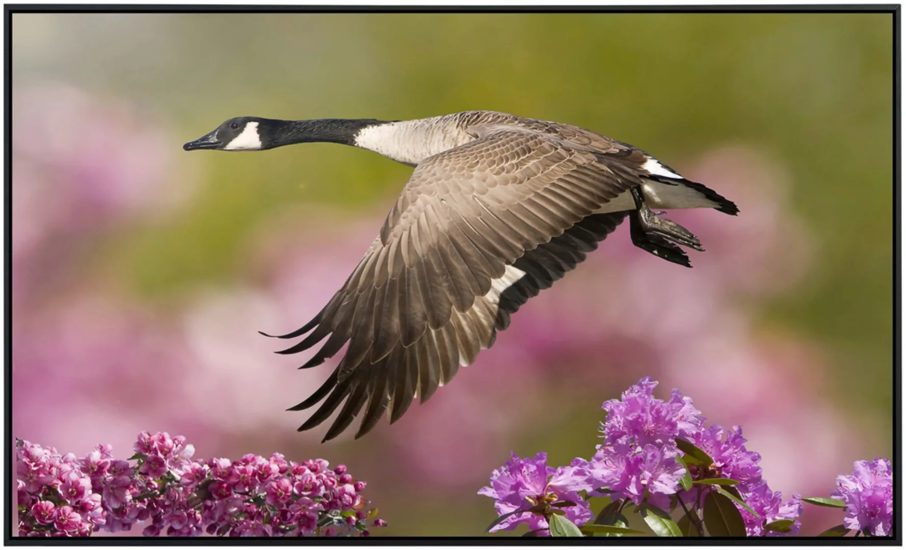 Papermoon Infrarotheizung »Vogel mit Blumen«, sehr angenehme Strahlungswärm günstig online kaufen