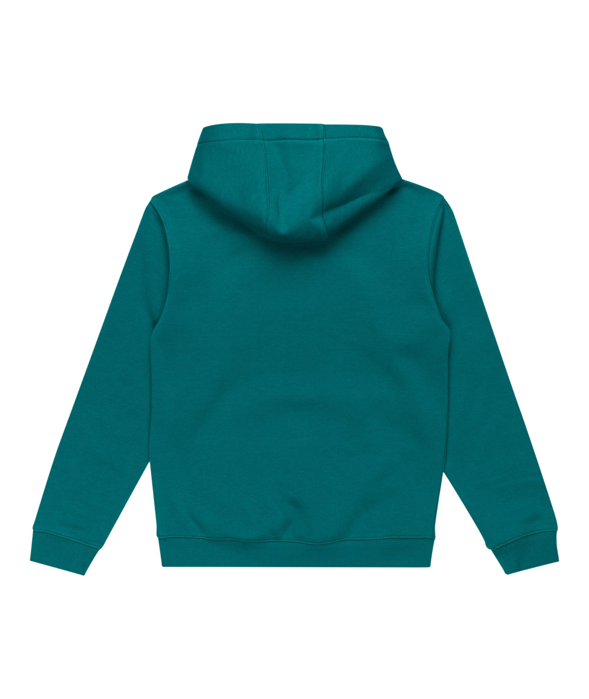 Quiksilver Kapuzensweatshirt BIG LOGO HOODIE YOUTH günstig online kaufen