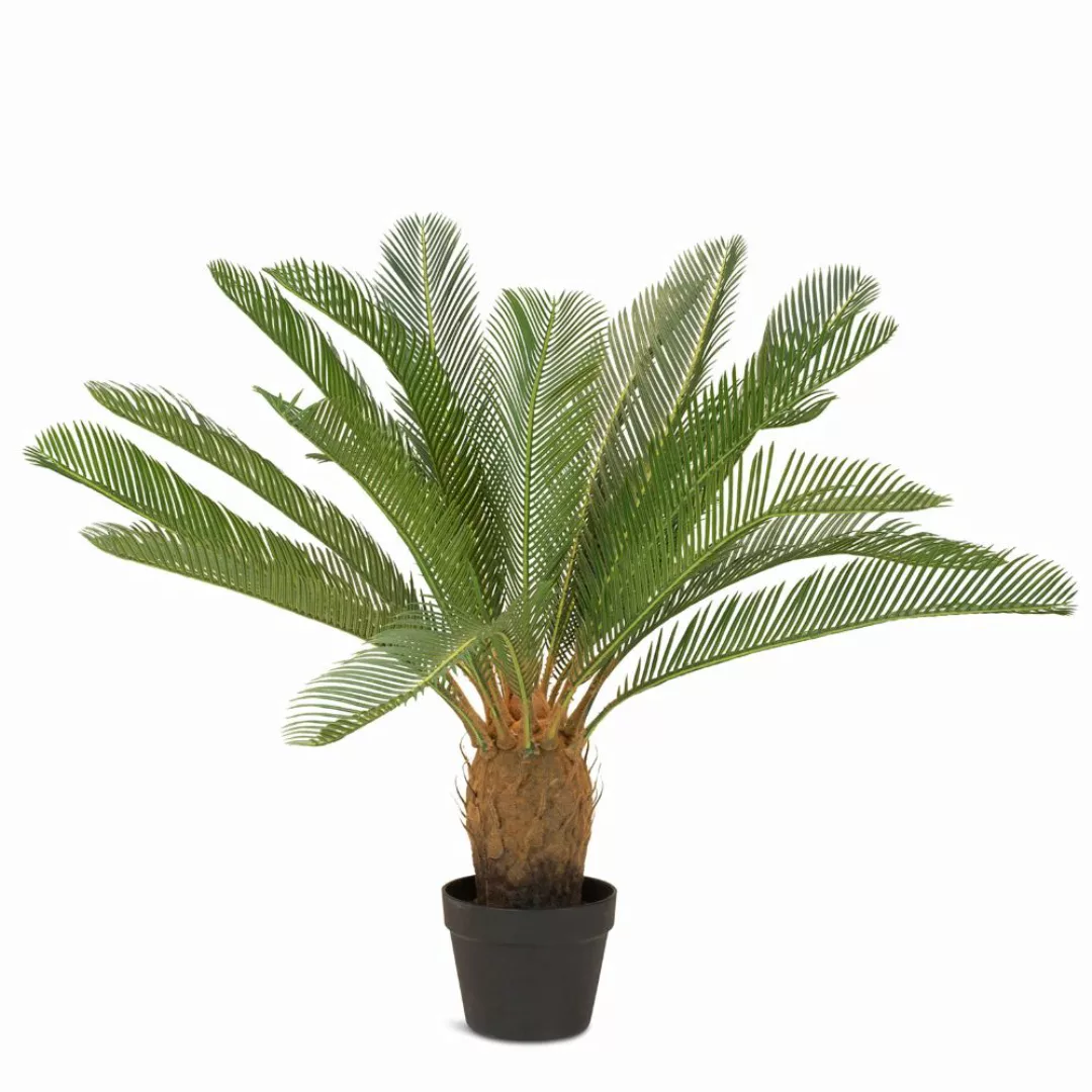 Palmfarn Cycas Kunstpflanze, 85 cm günstig online kaufen