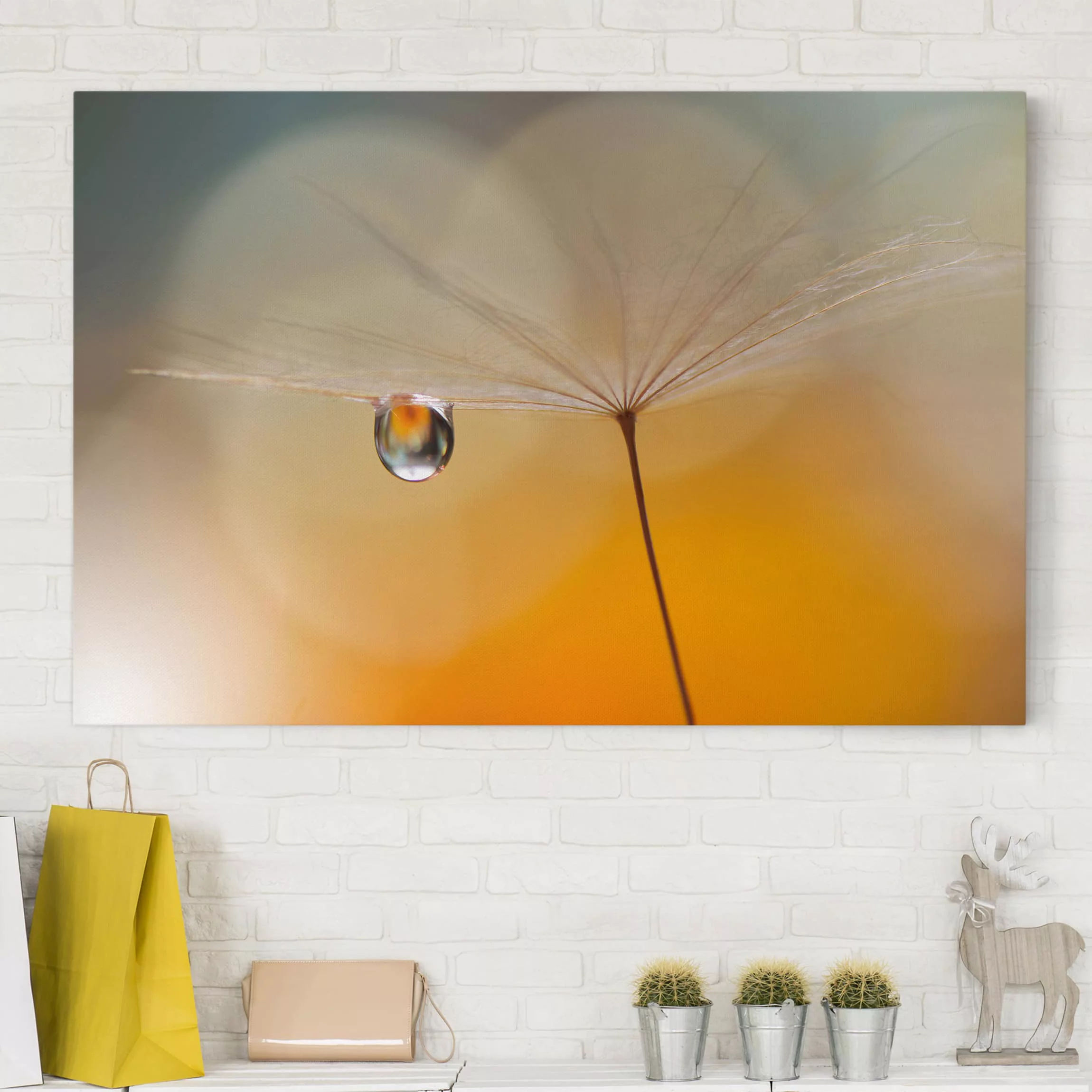 Leinwandbild Blumen - Querformat Pusteblume in Orange günstig online kaufen