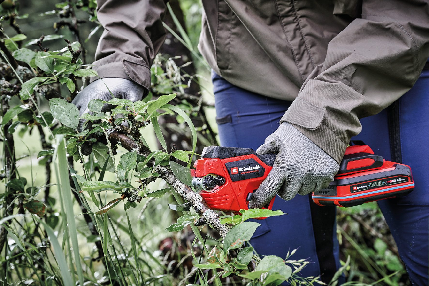 Einhell Akku-Astschere """GP-LS 18/28 Li T BL-Solo""", ohne Akku, ohne Lade günstig online kaufen