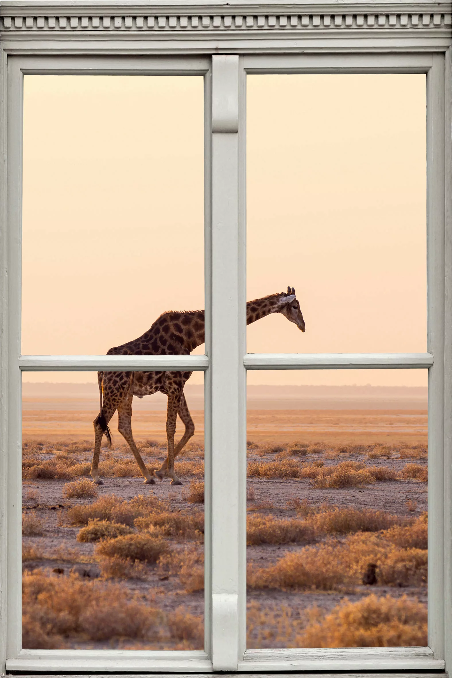 queence Wandsticker "Giraffe" günstig online kaufen