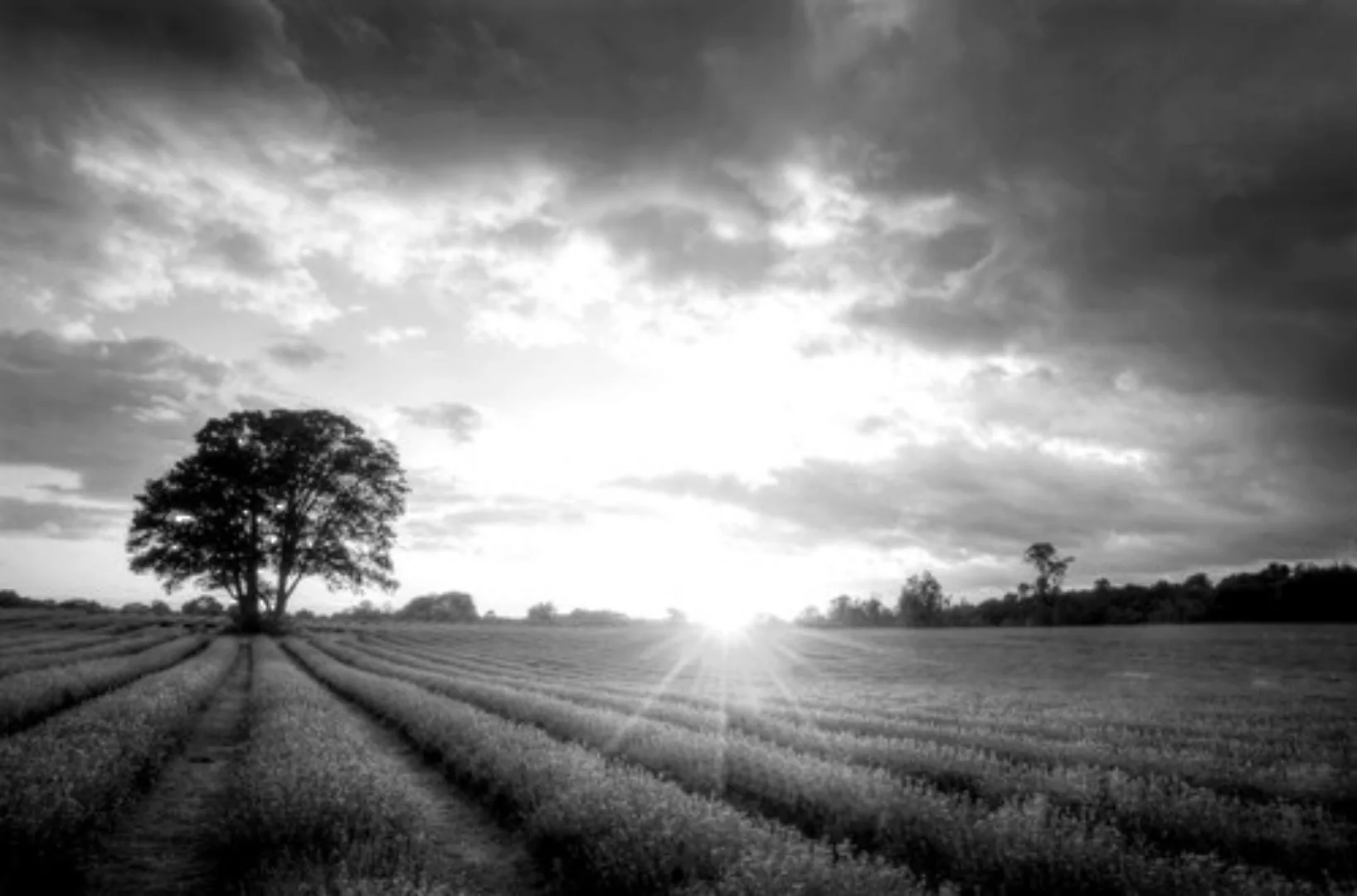 Papermoon Fototapete »Landschaft Schwarz & Weiß« günstig online kaufen